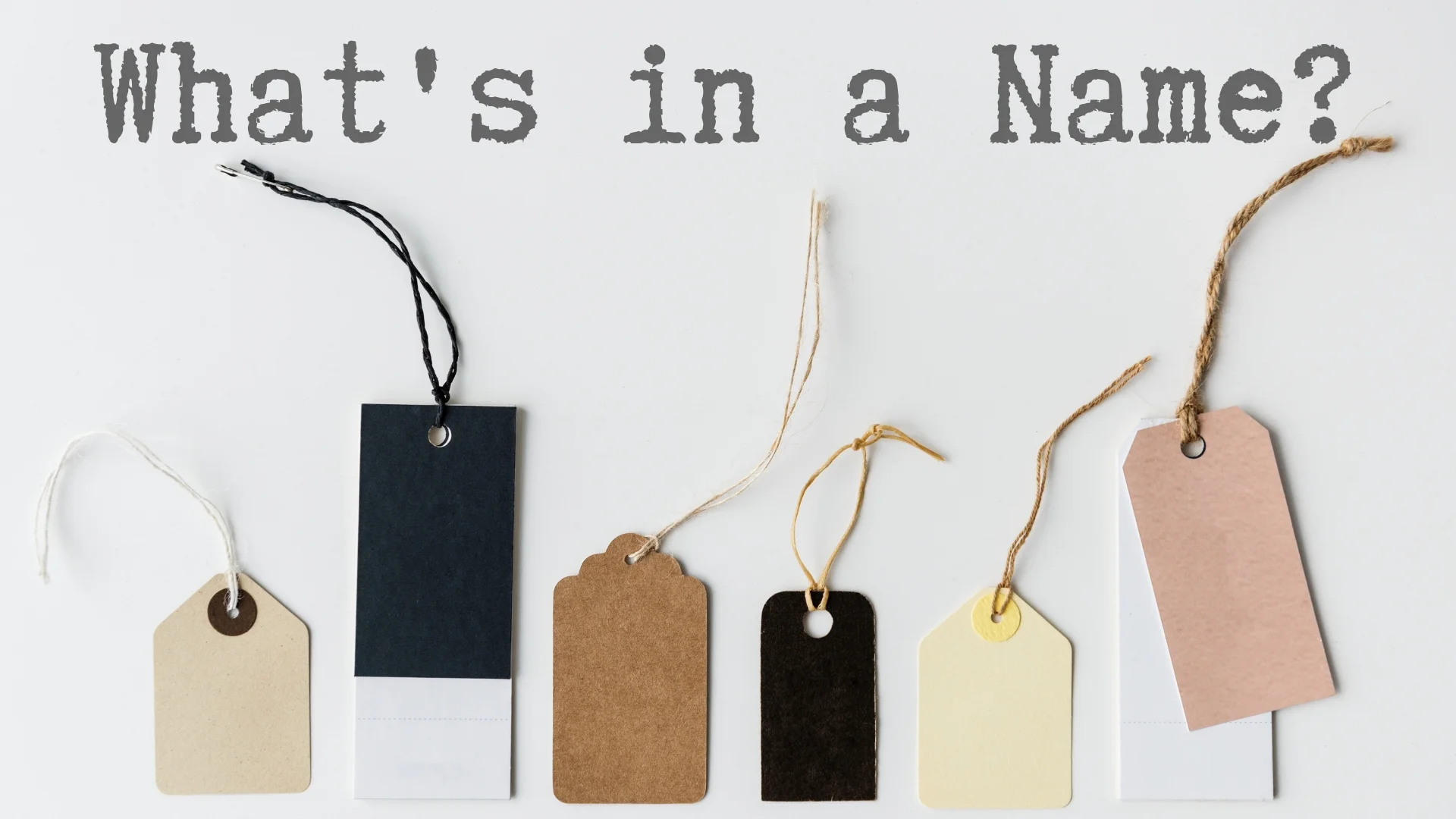 banner-whats-in-a-name-02.jpg