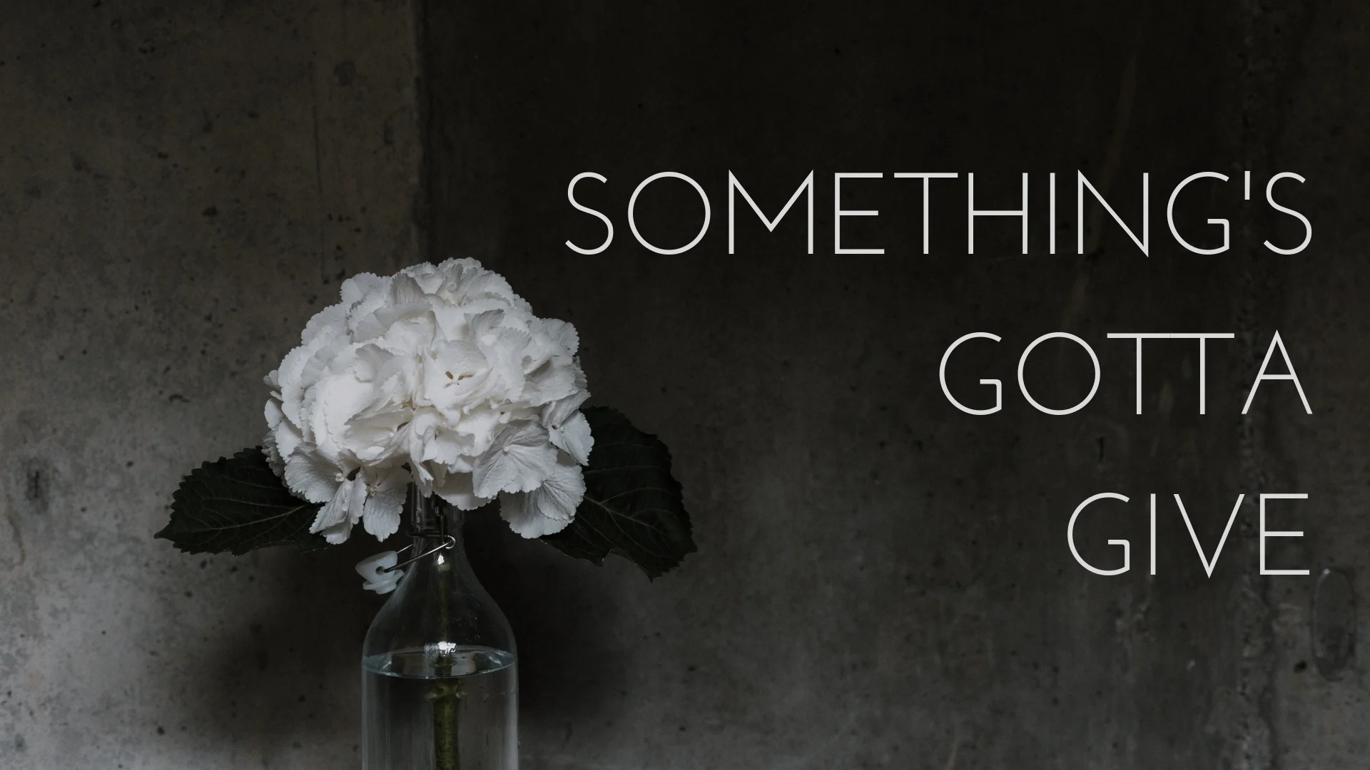banner-somethings-gotta-give-02.jpg