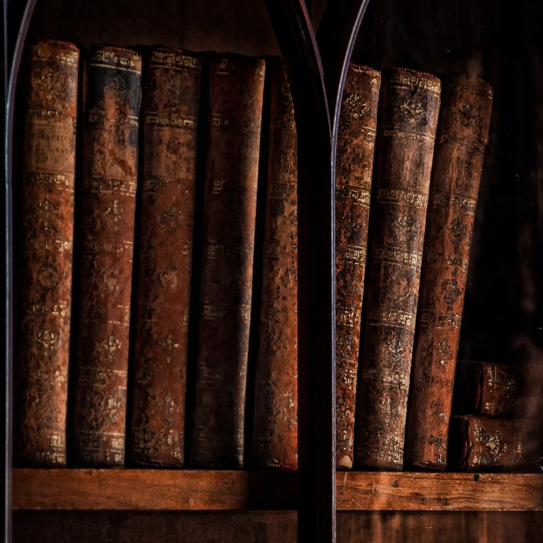 insta-through-a-bookcase-darkly-06.jpg
