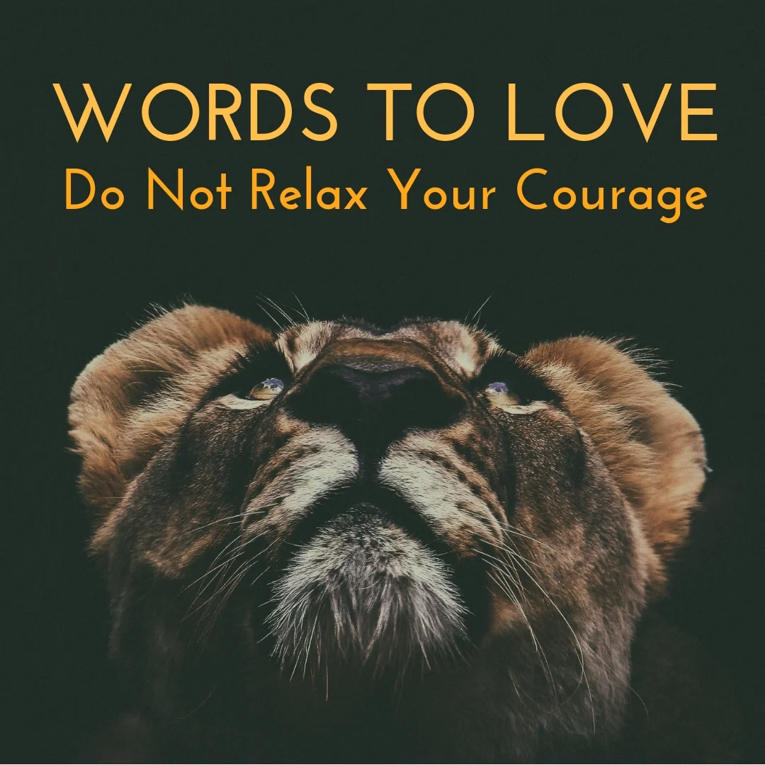 Ever feel like giving up? I have. It’s a real emotion that we all have to contend with from time to time. When we’re in the sloughs of despond, more than ever, we need to not relax our courage. We need to stay consistent, slugging through the dregs when it’s the last thing we want to do. Word to Love: Do Not Relax Your Courage is all about how to stay consistent in tough times.
