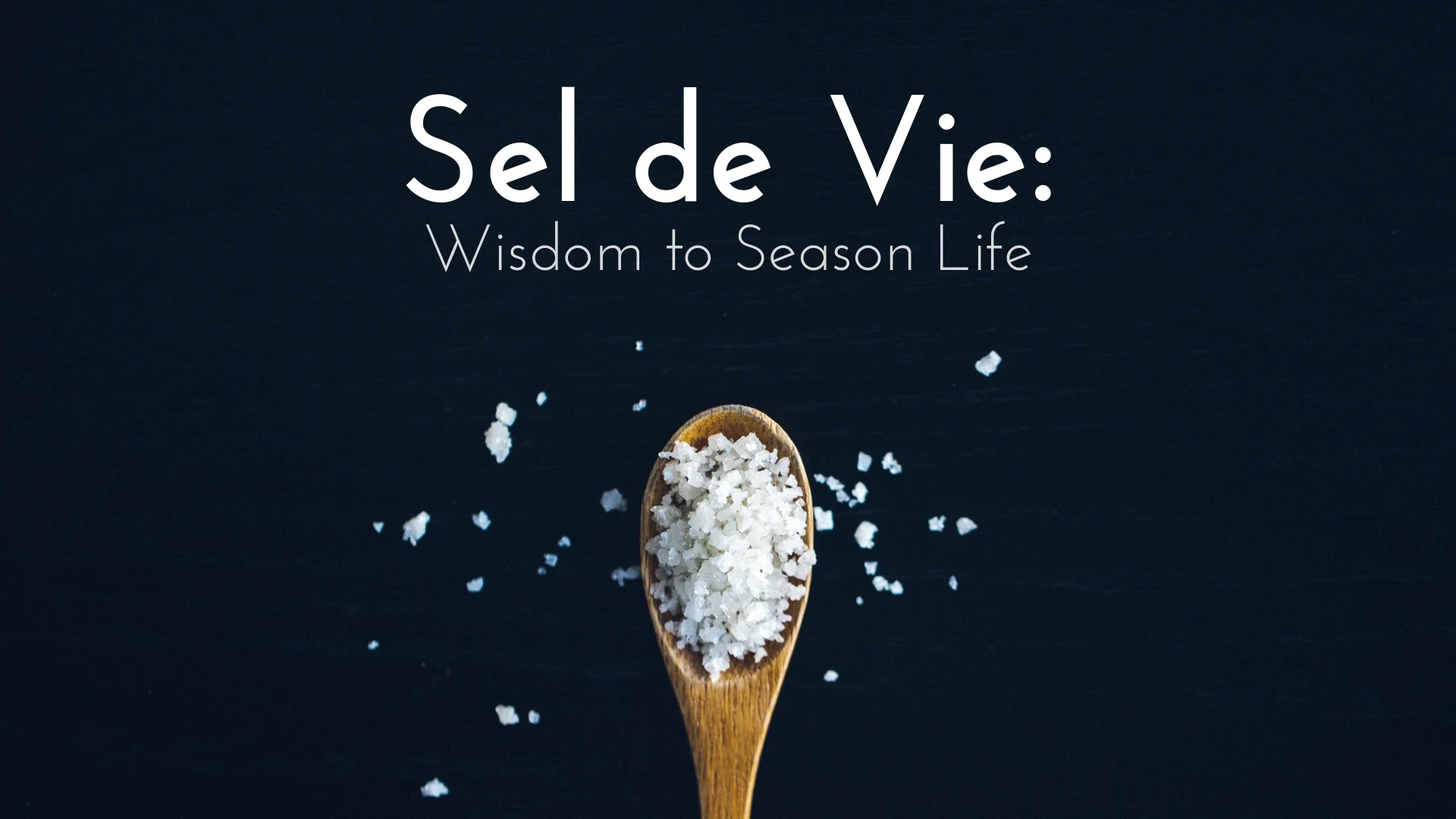 banner-sel-de-vie-wisdom-to-season-life-01.jpg