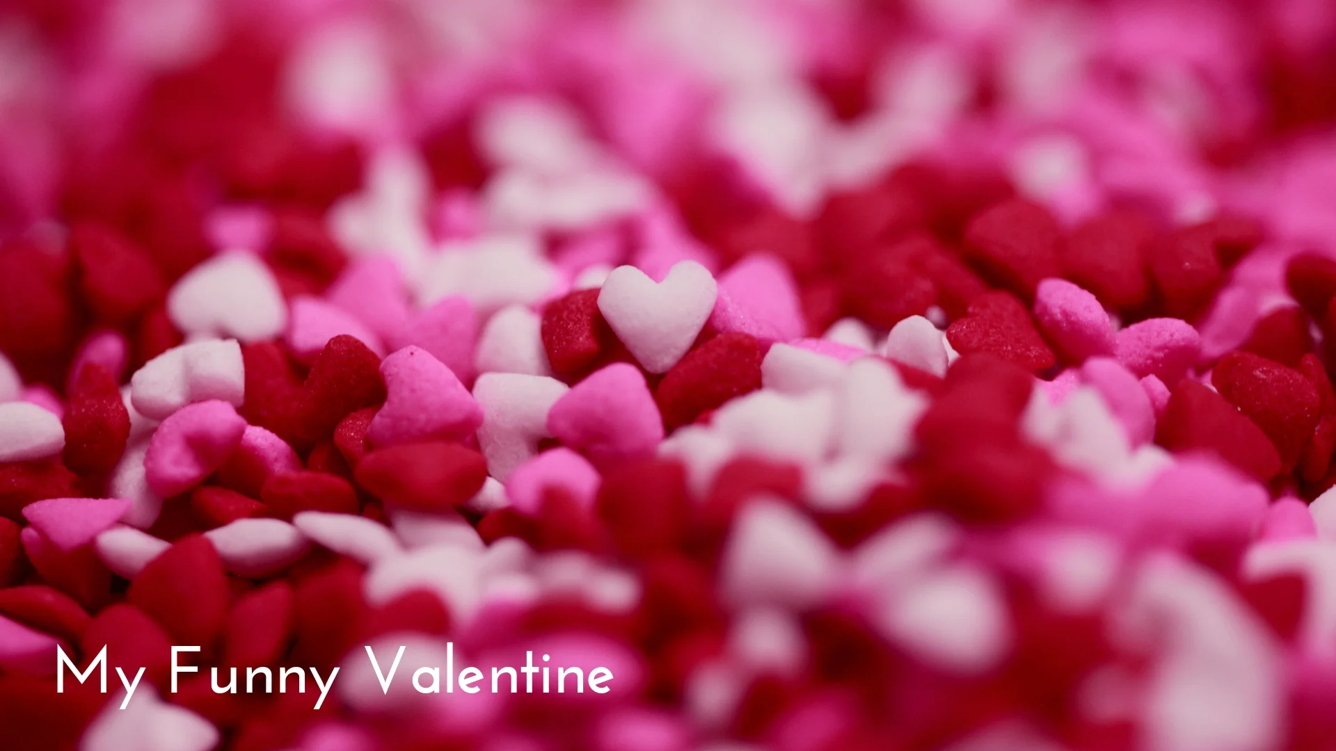 banner-standards-to-love-food-of-love-06.jpg