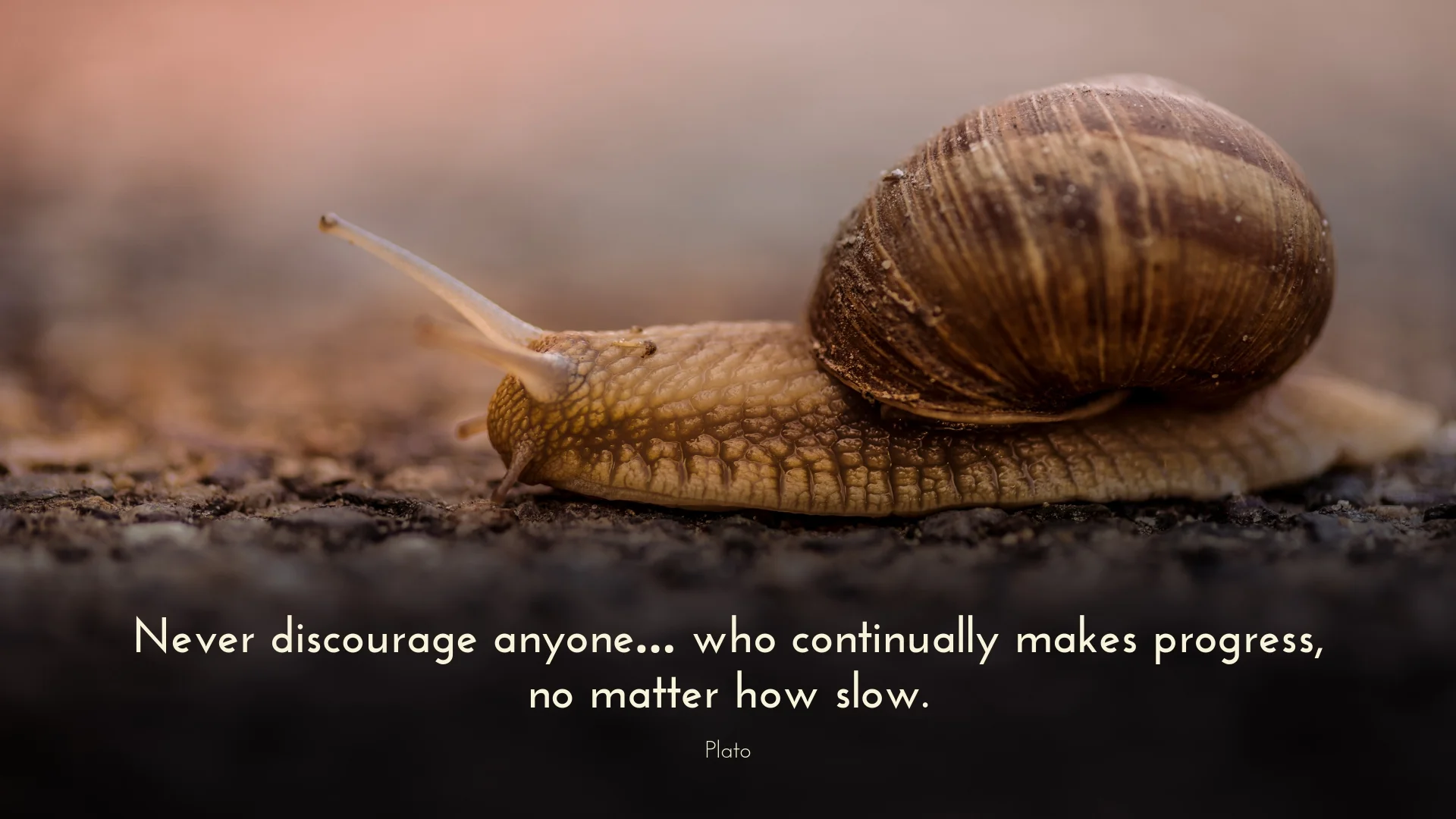 banner-lines-to-love-we-are-built-to-hope-08.jpg