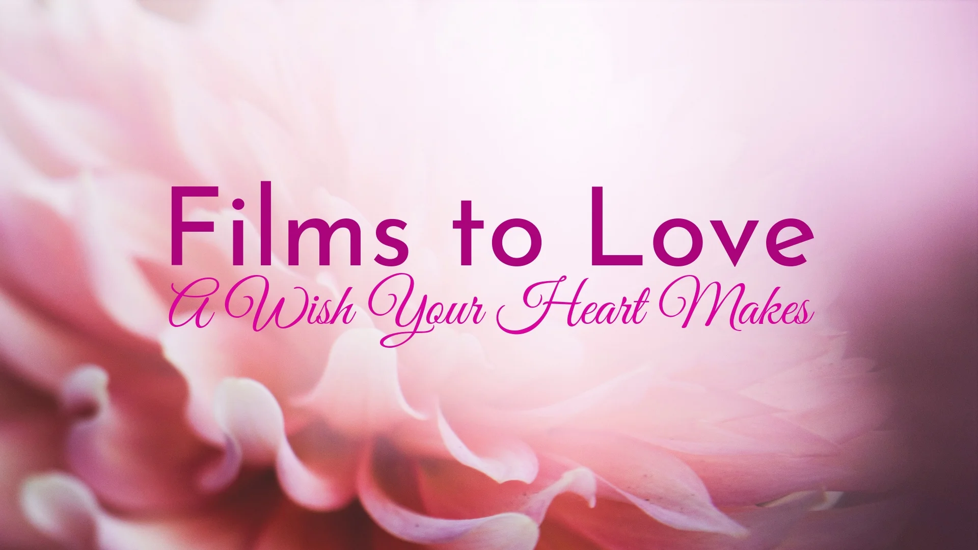 banner-films-to-love-a-wish-your-heart-makes-01.jpg