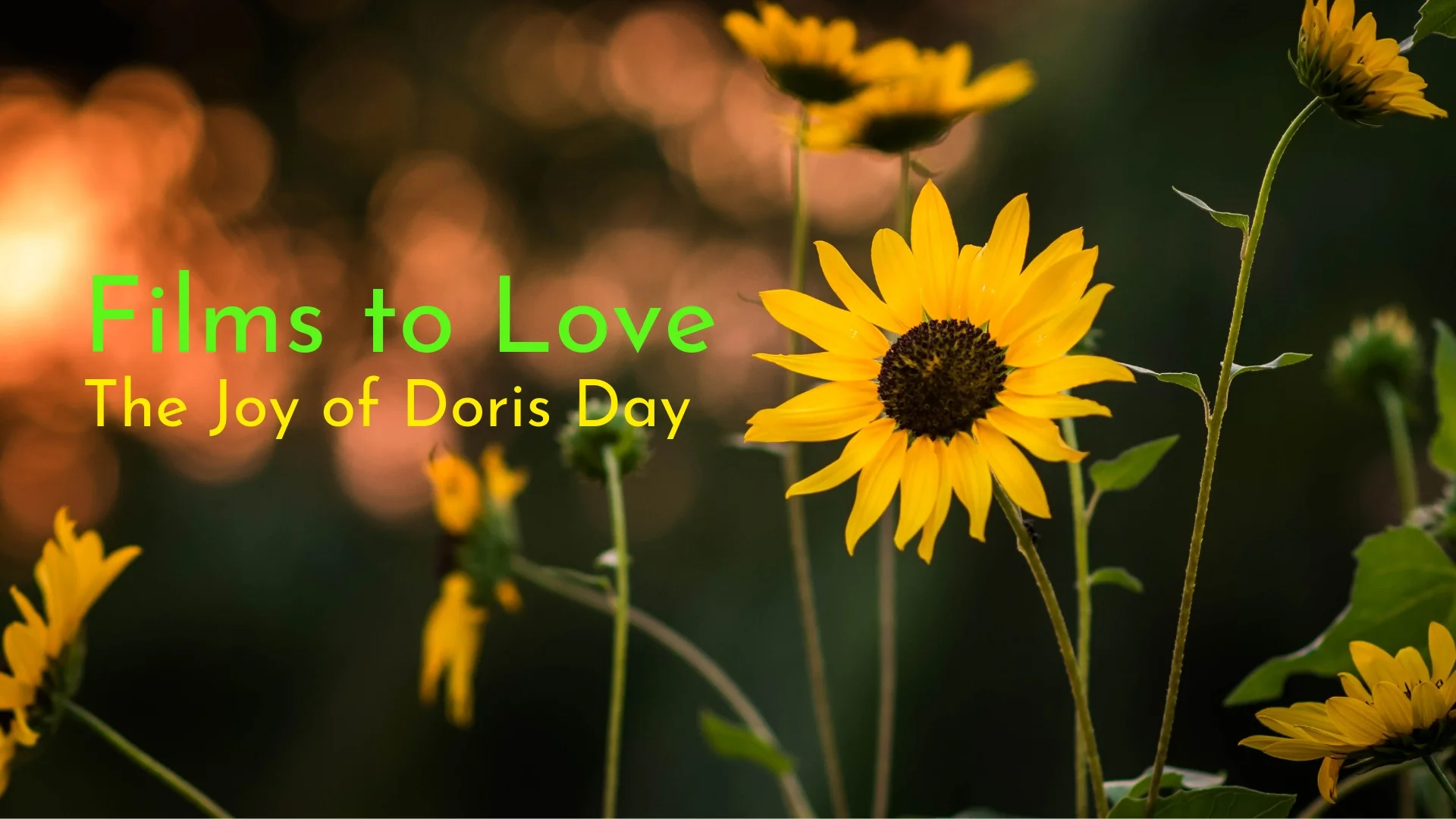 banner-films-to-love-the-joy-of-doris-day-01.jpg