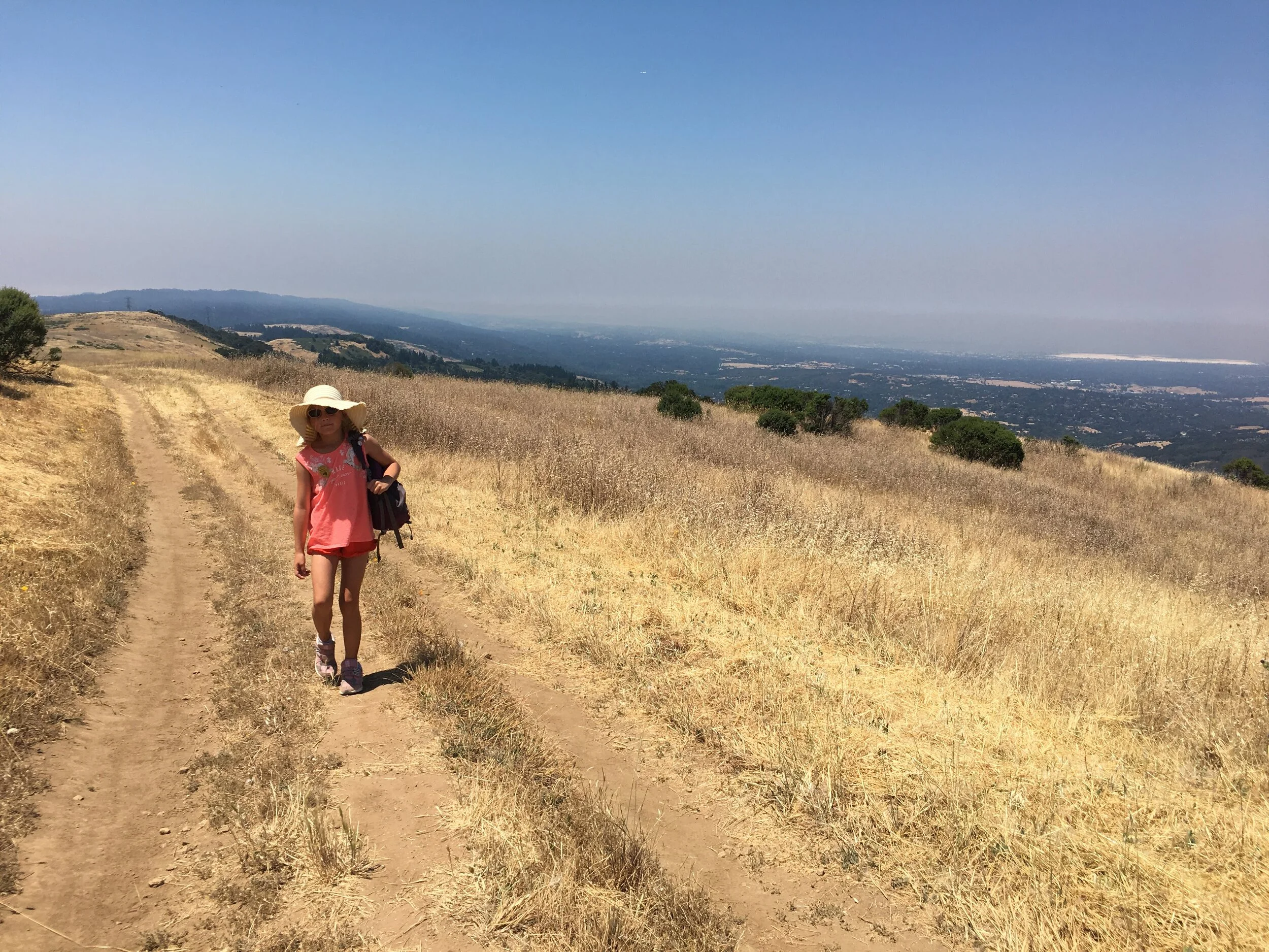Destination: Borel Hill, Portola Valley