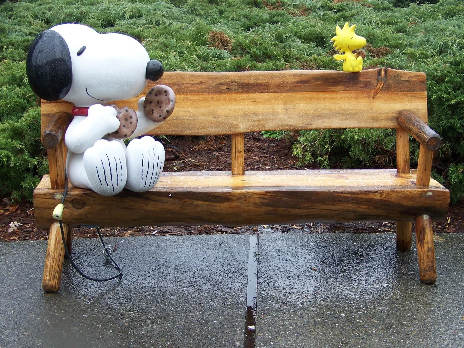 Destination: Visit Snoopy, Santa Rosa