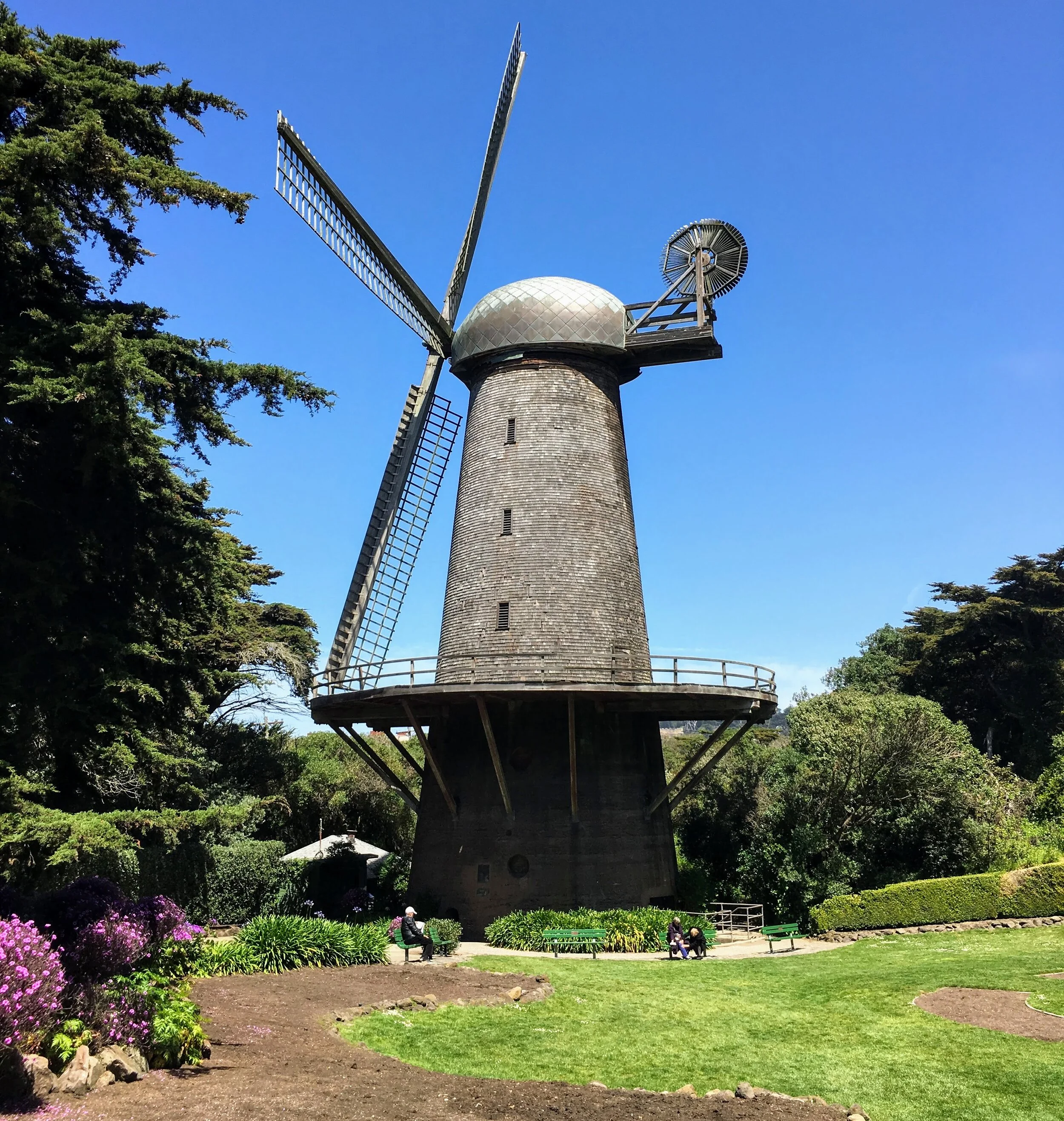 Dutch Windmill in Golden Gate Park by Cody Tolmasoff