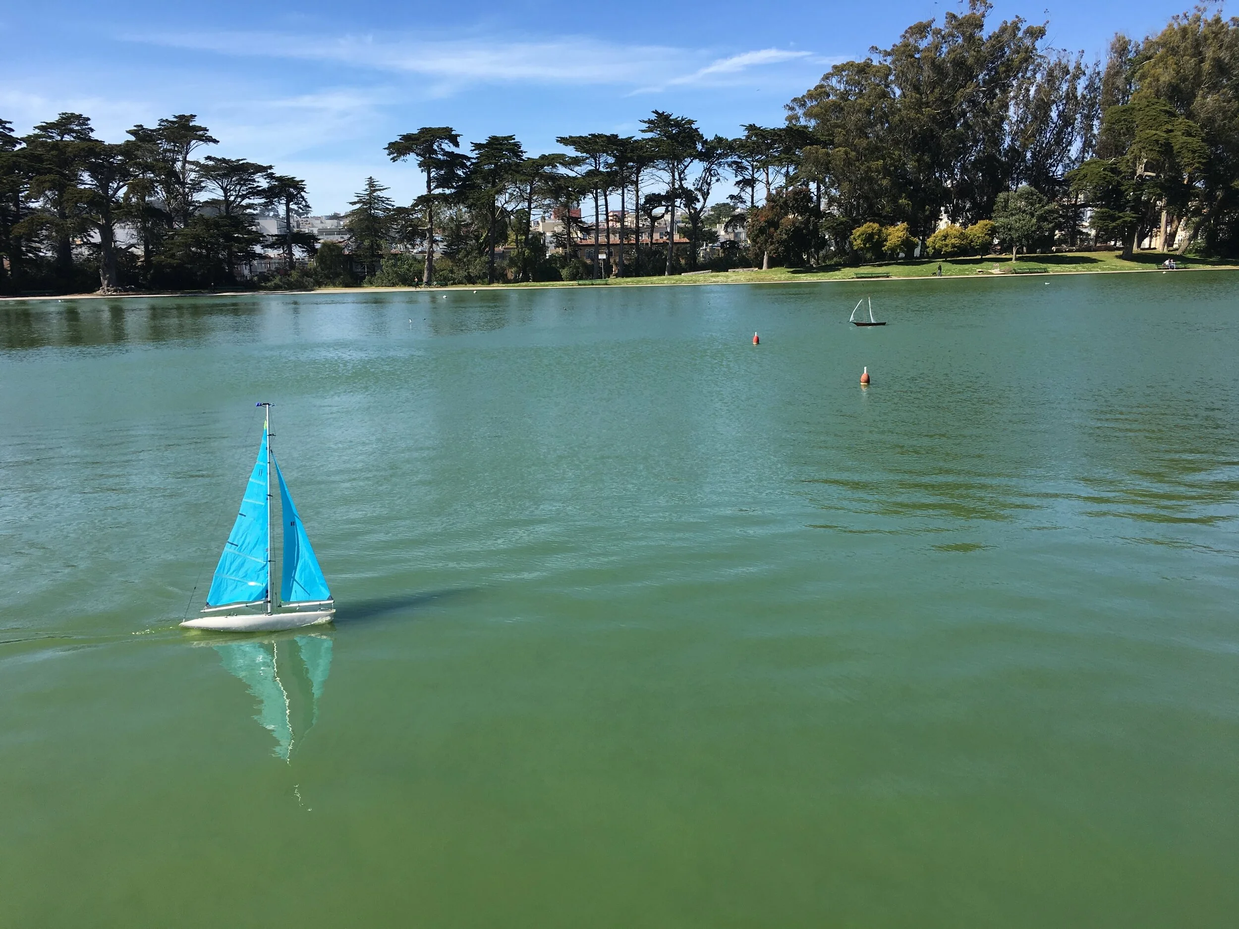 Day Trip Adventure: Spreckels Bison Loop