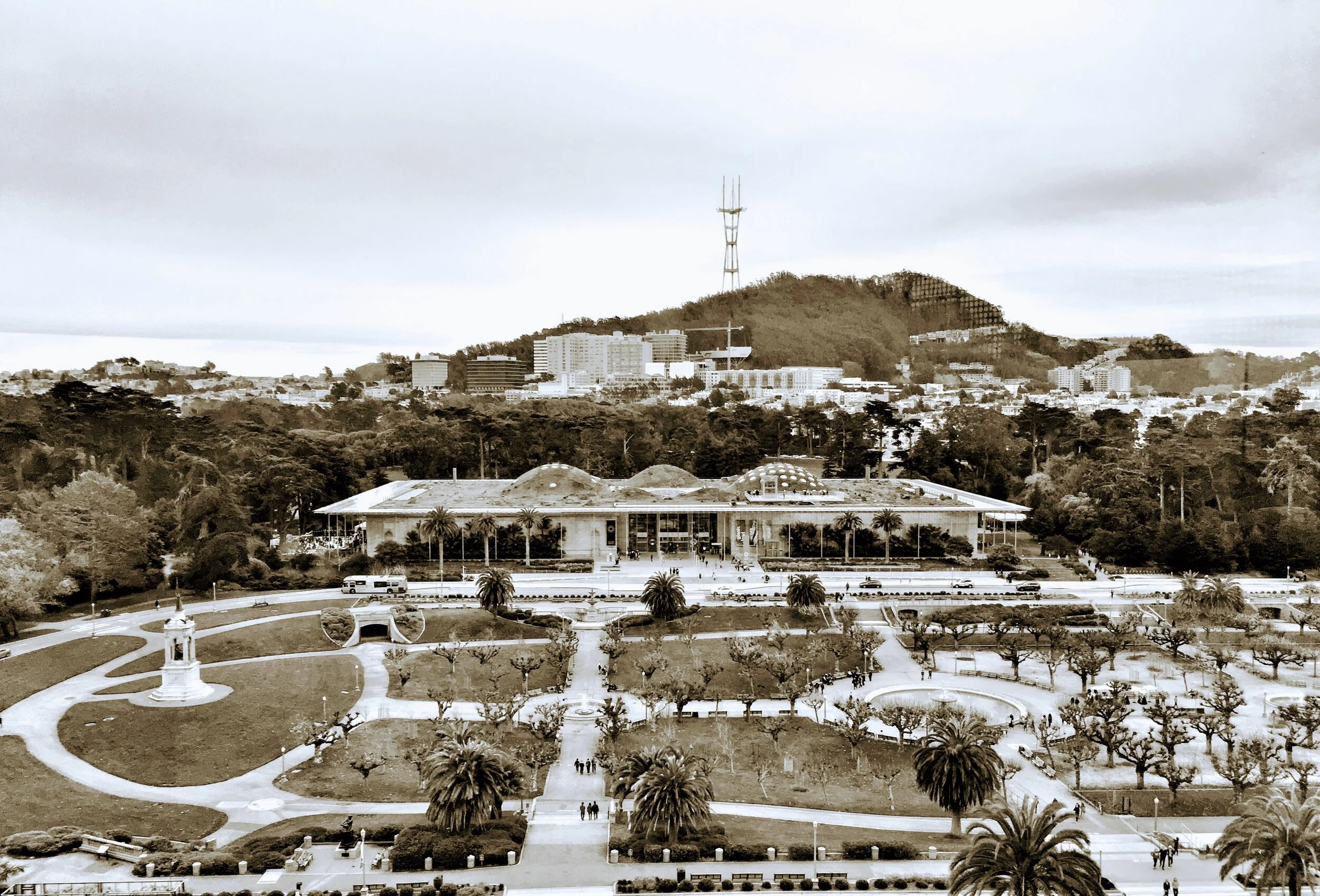 Day Trip Adventure: Around the Music Concourse in Golden Gate Park