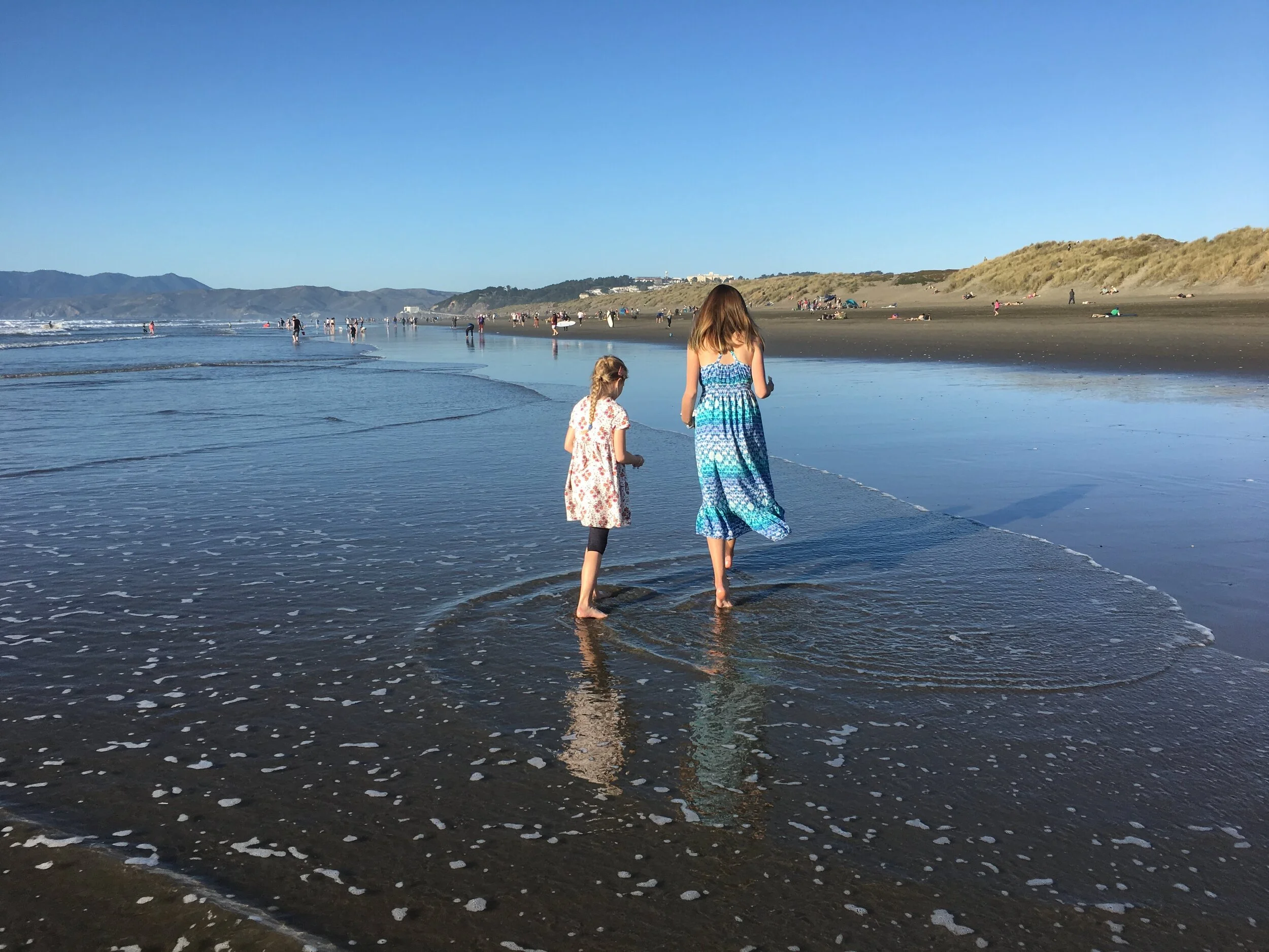 Introducing Anna Dahlia