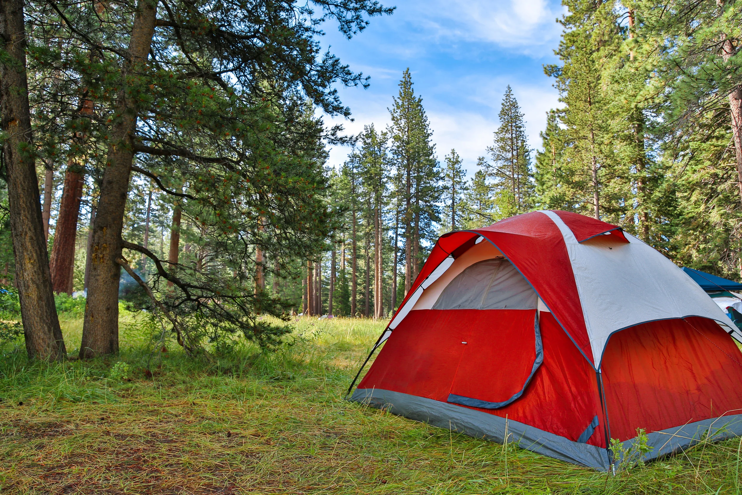 tent mule 3