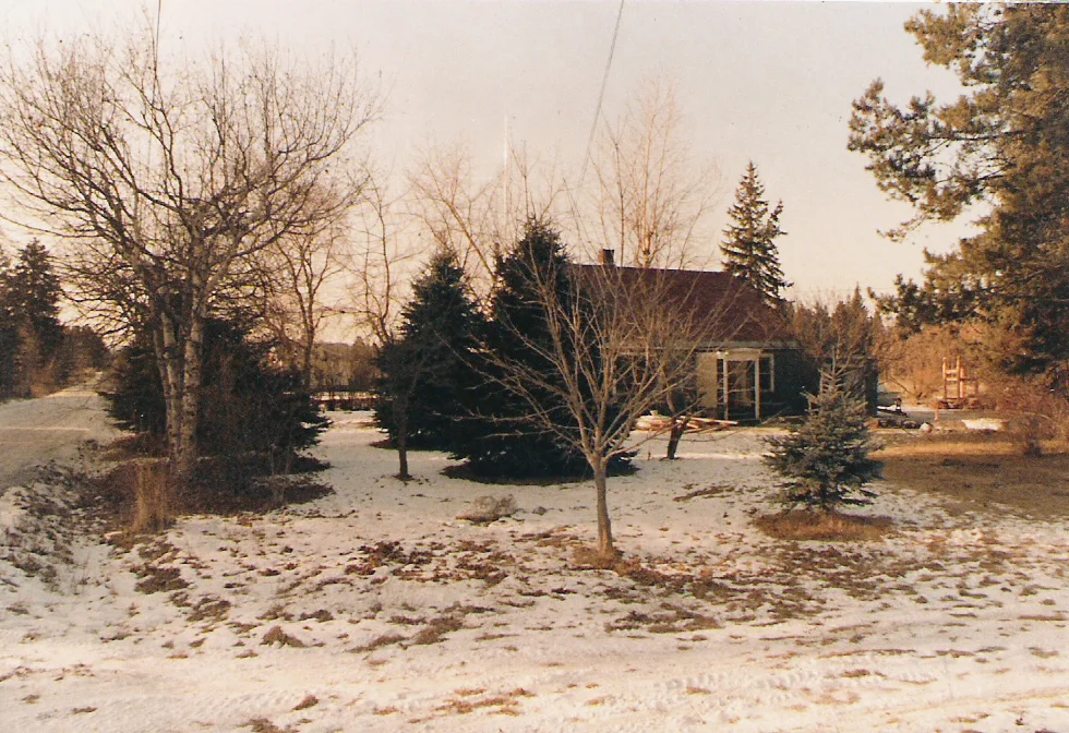 cabin.jpg