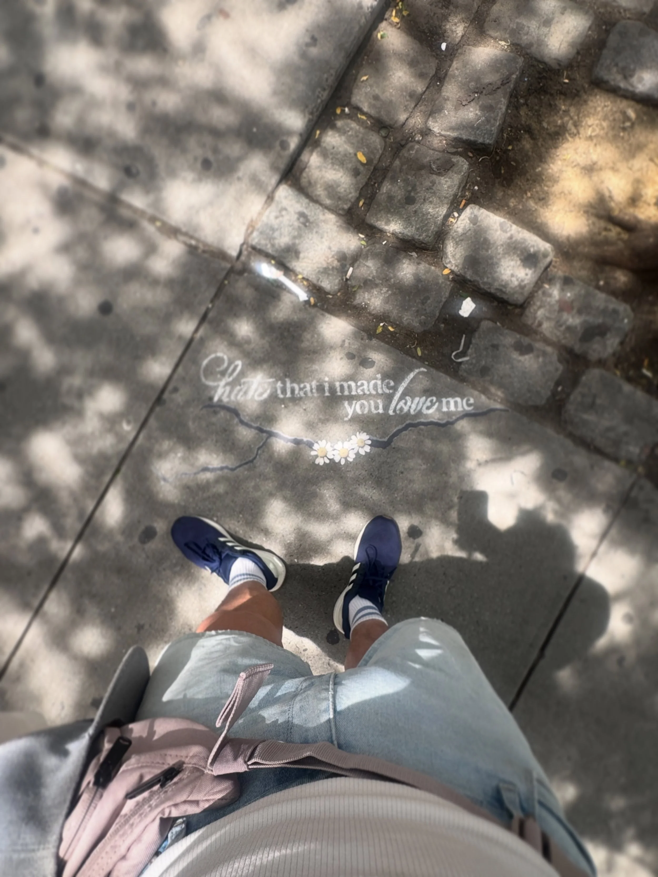 &ldquo;Hate that I made you love me.&rdquo;

#streetsmart
#nyc
#fyp