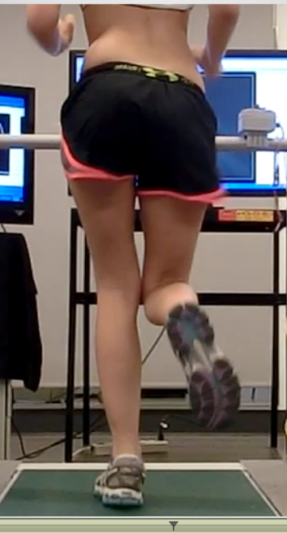  Pre-training