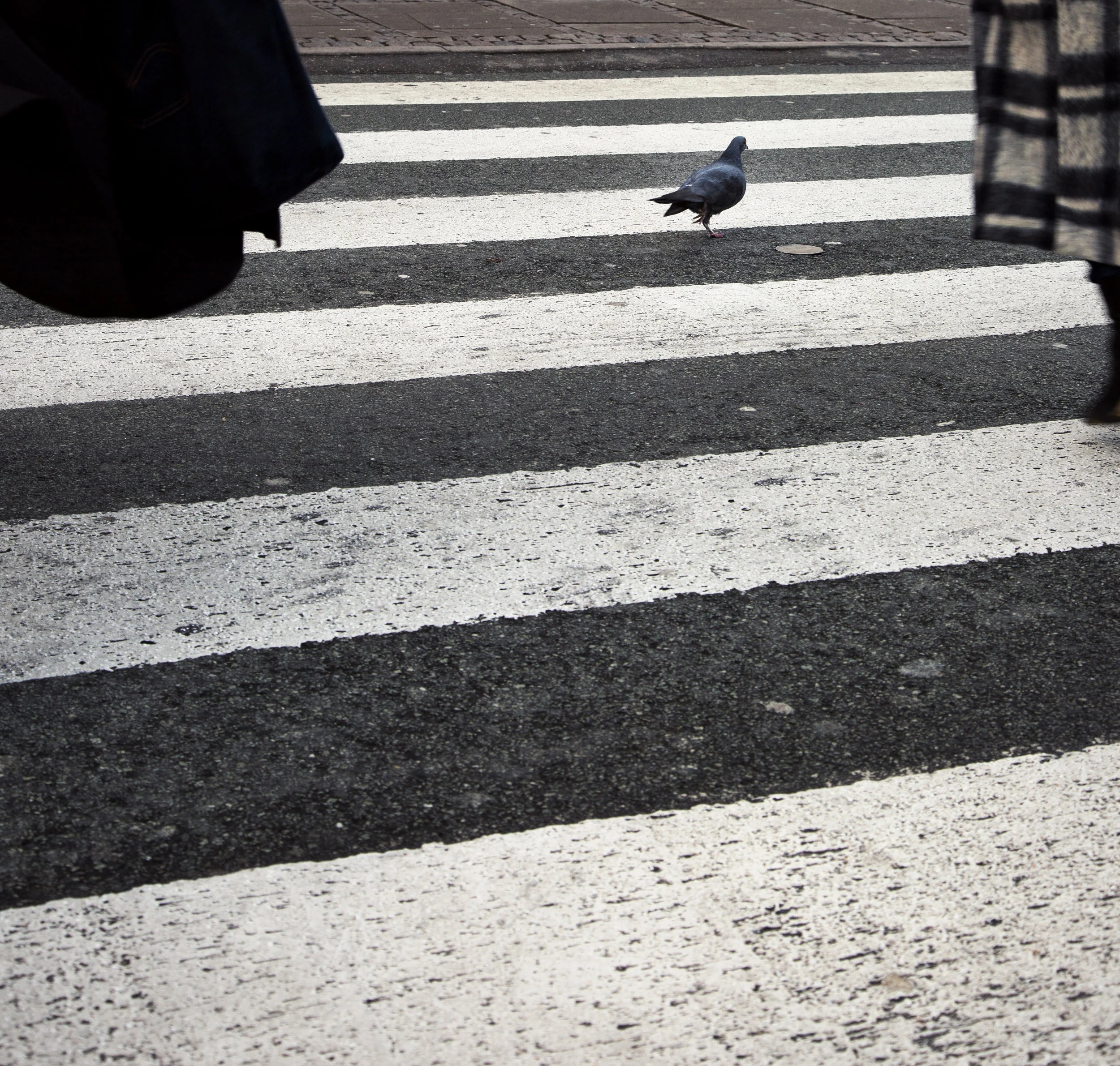 pigeon cross.jpg