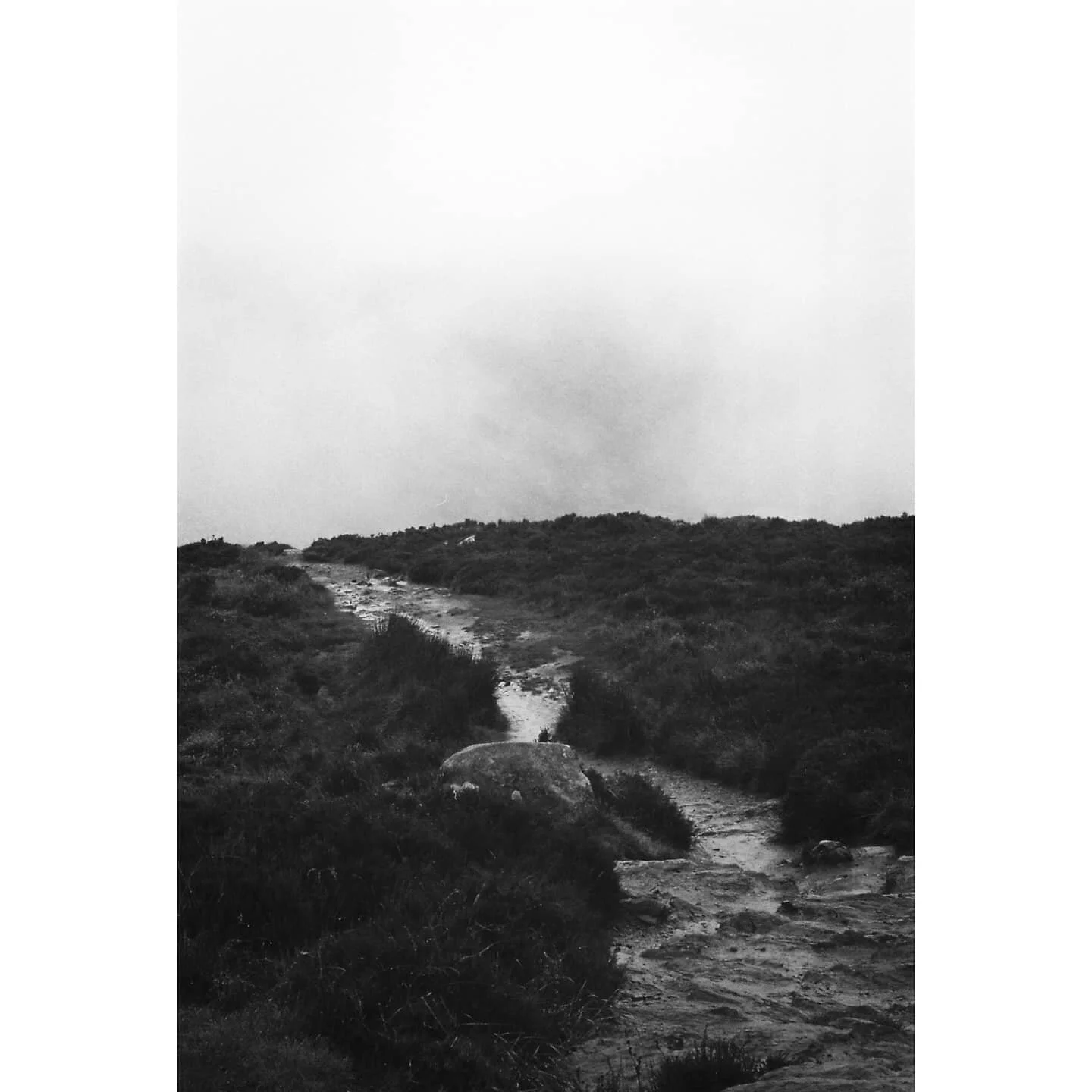 Wicklow mountain mist