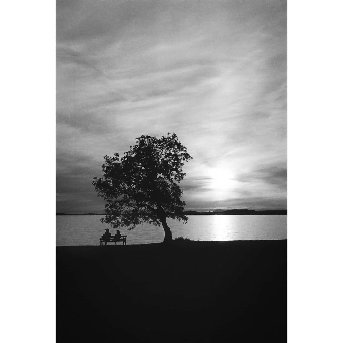 Shilouette
#mm #analogphotography #filmisnotdead #thevisualscollective #theanalogclub #35mm #praktica #ilford400 #believeinfilm #analoguevibes #moodygrams #bwphotography #blackandwhitephotographymag #irish_daily