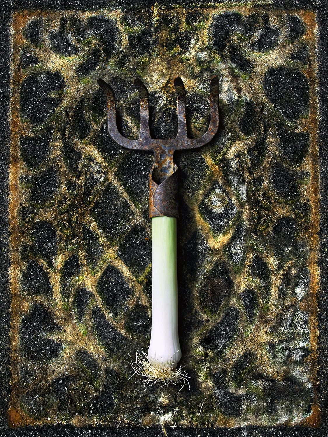 fork portfolio dvd.jpg