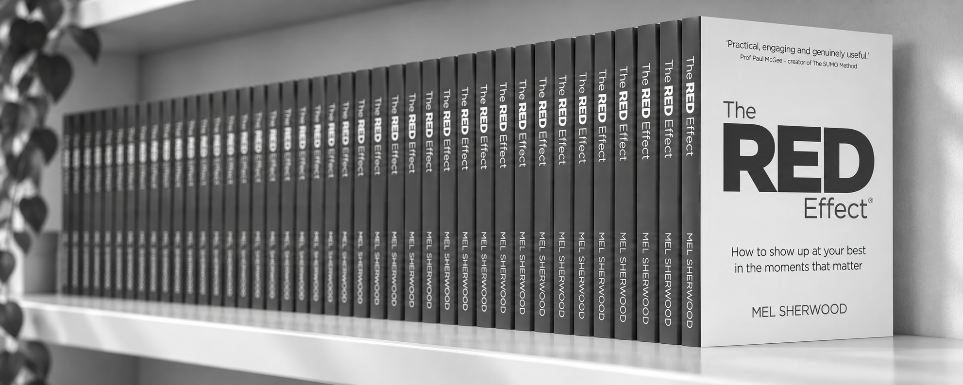 book shelf bw.png