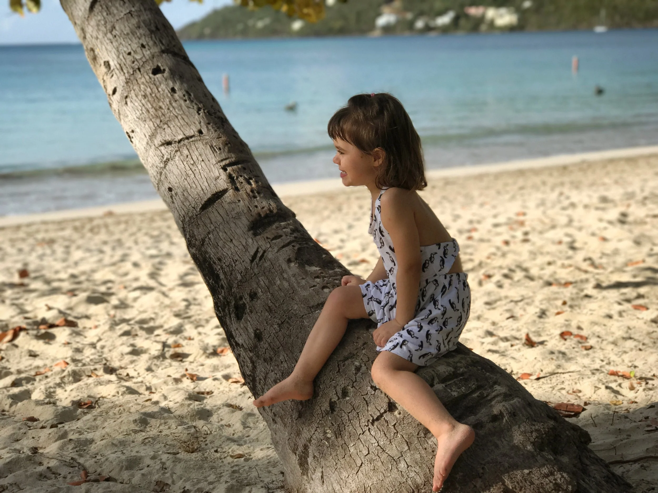 Sittin’ in the morning sun. :)