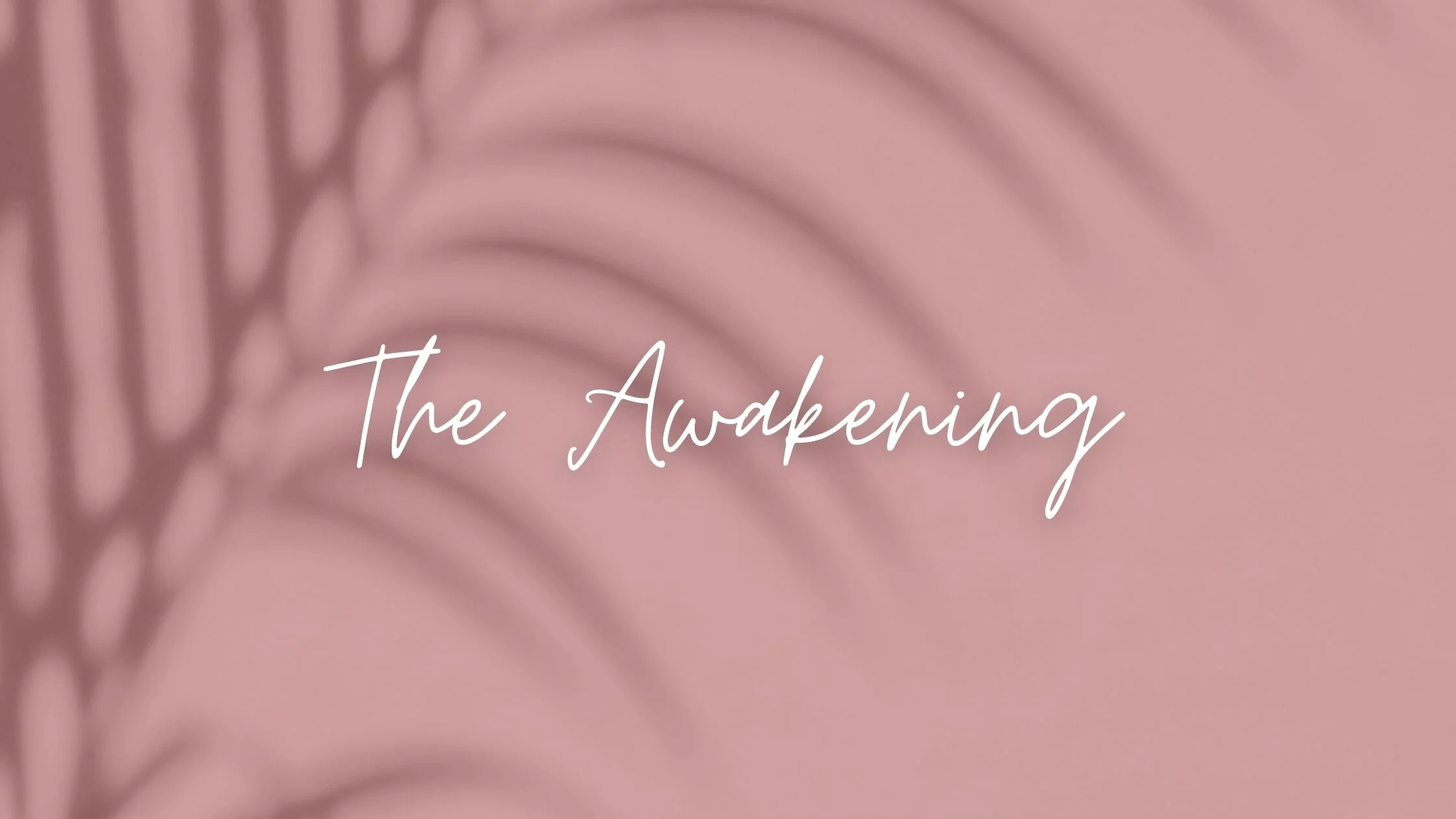 The Beginning of My Awakening!