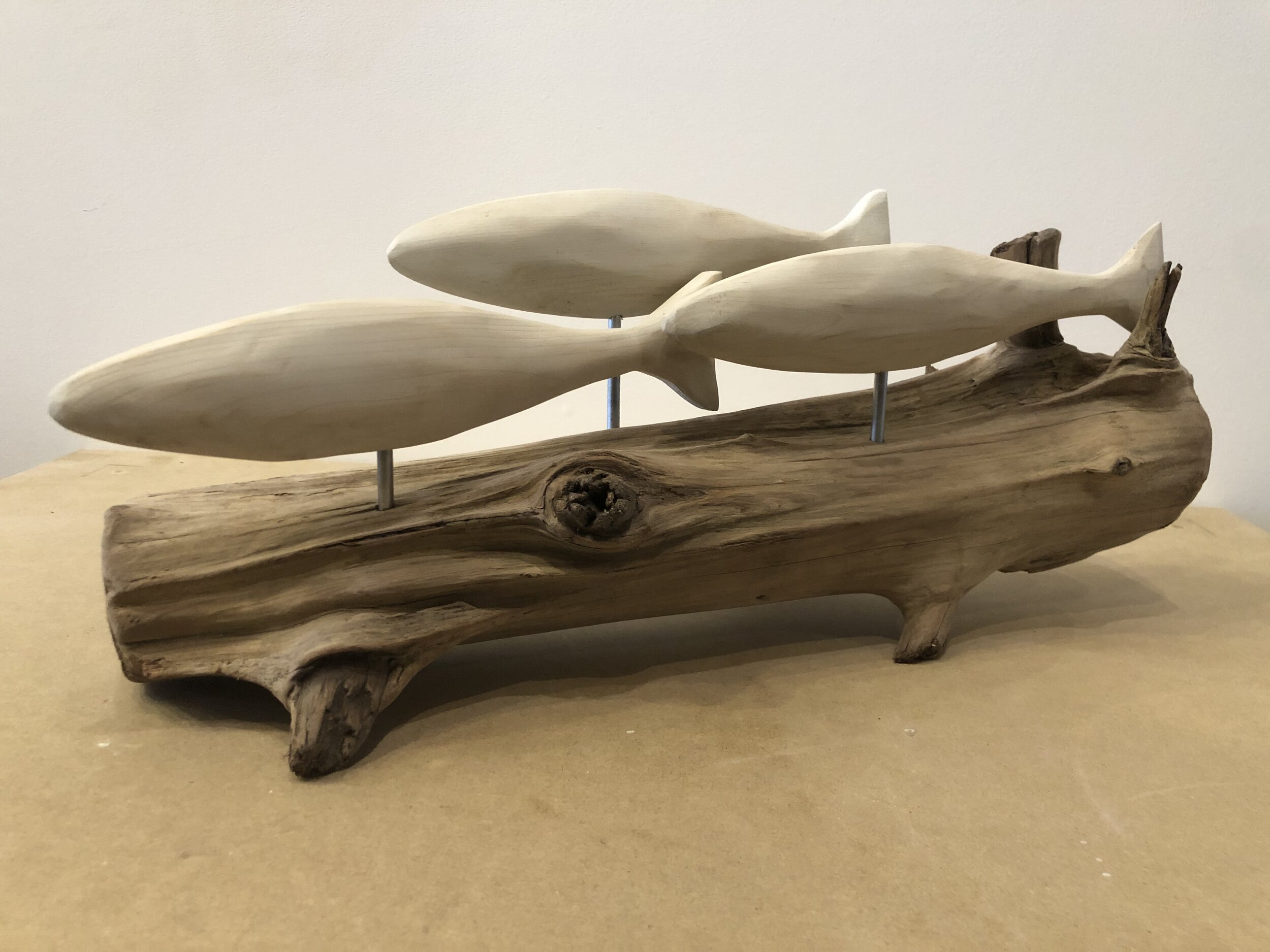 Large School of Fish