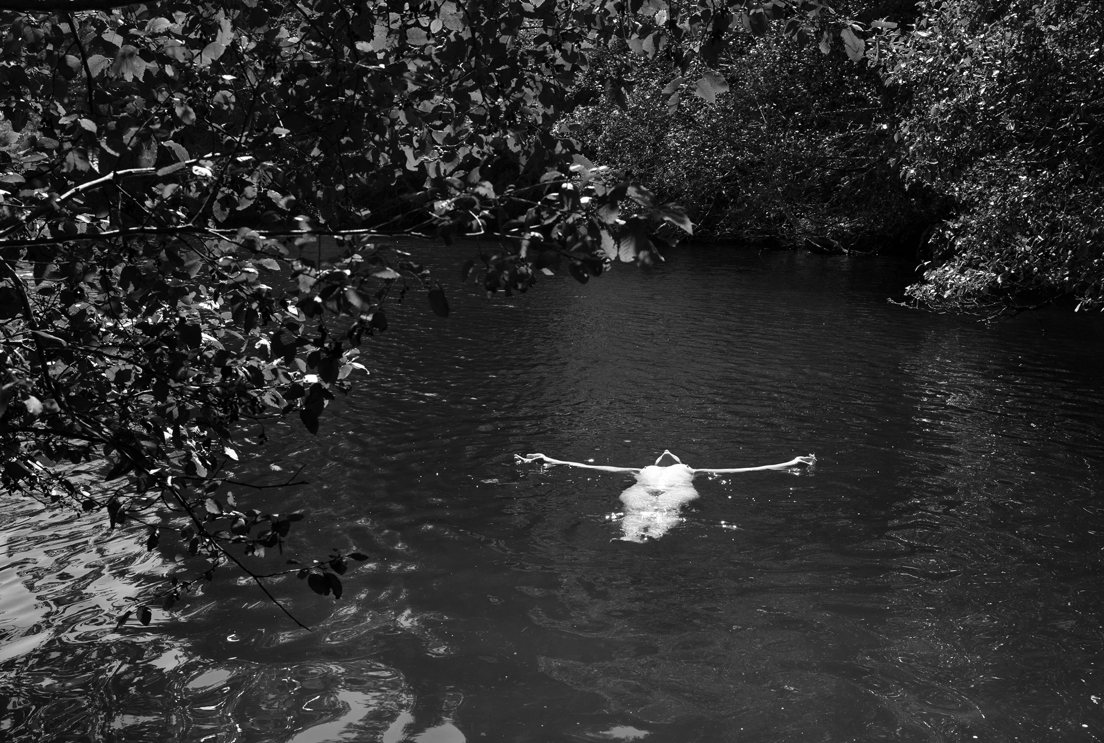 Frances McDormand, California, 2009