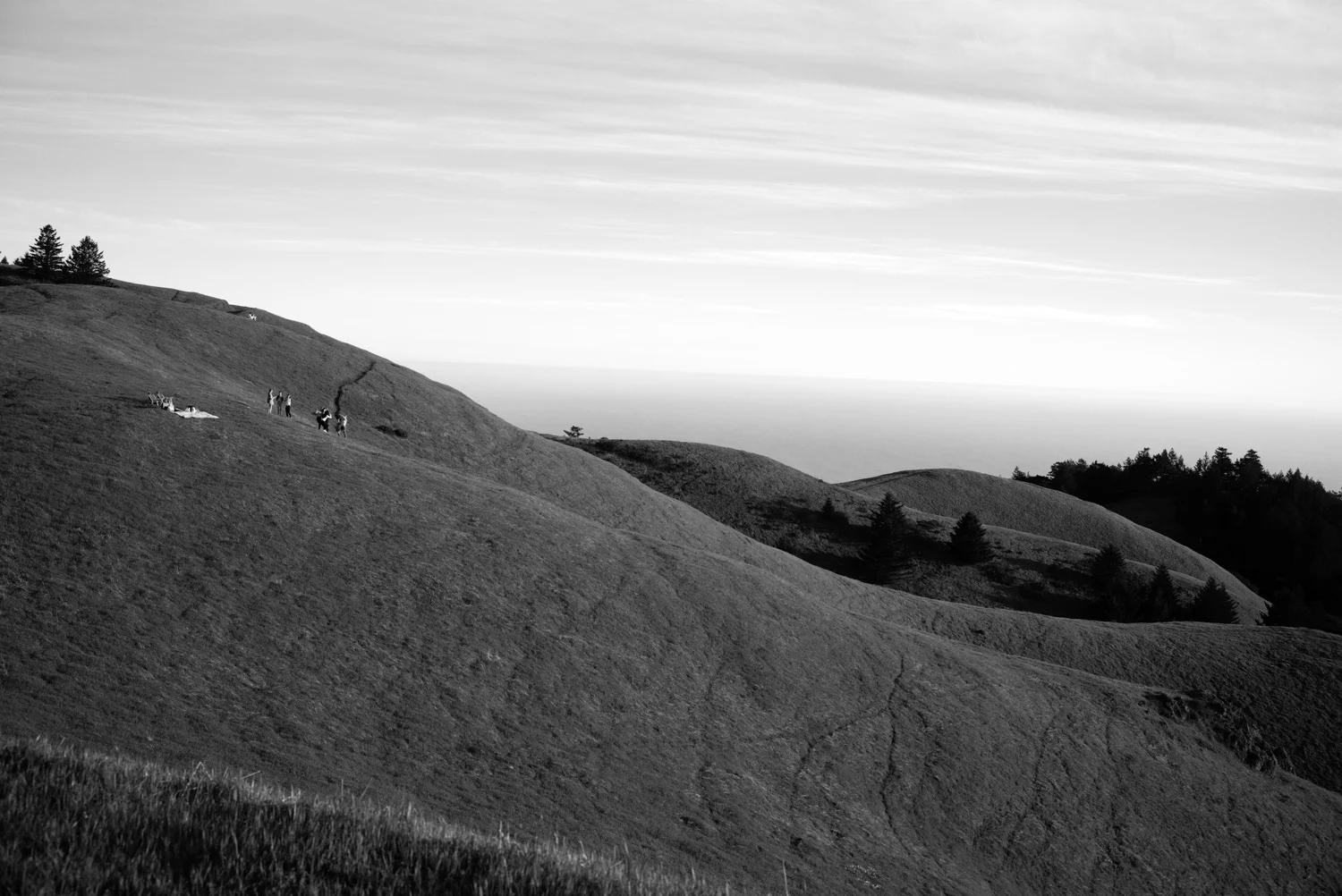 Northern California, for The Plant Magazine 