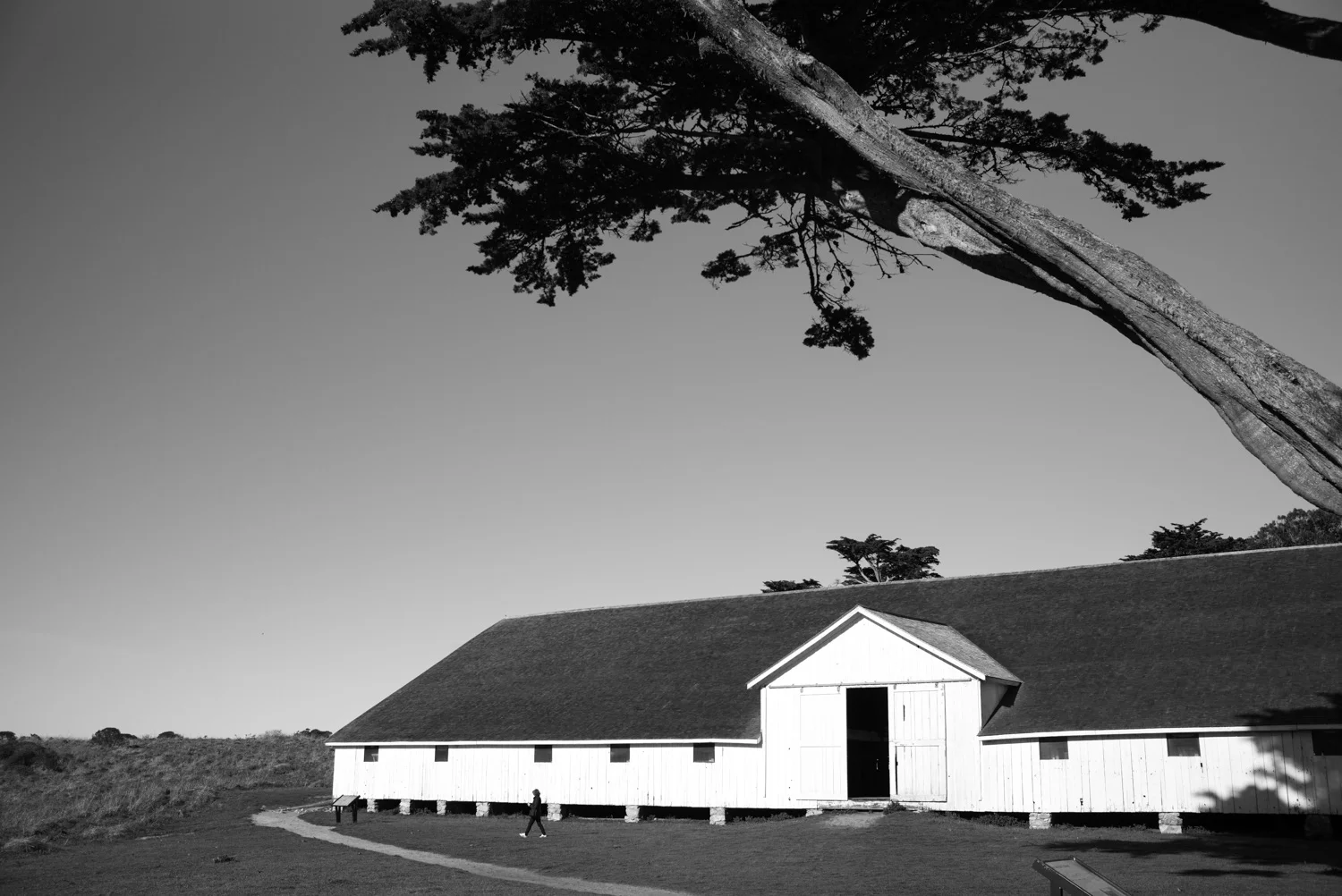 Northern California, for The Plant Magazine 