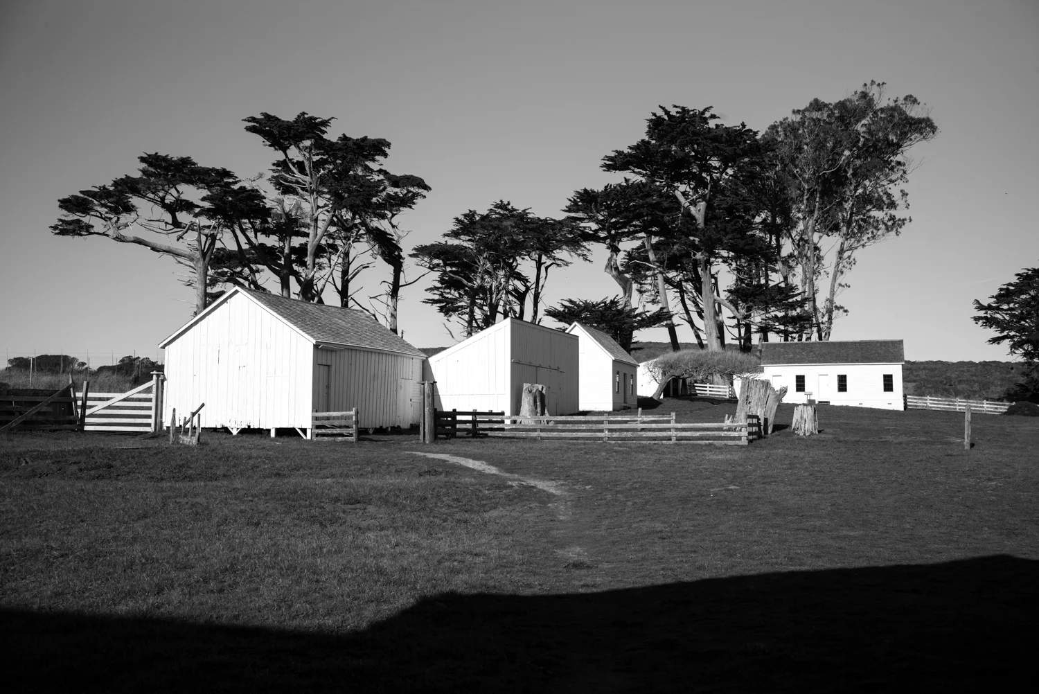 Northern California, for The Plant Magazine 