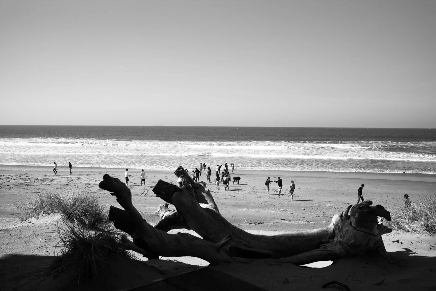 Northern California, for The Plant Magazine 