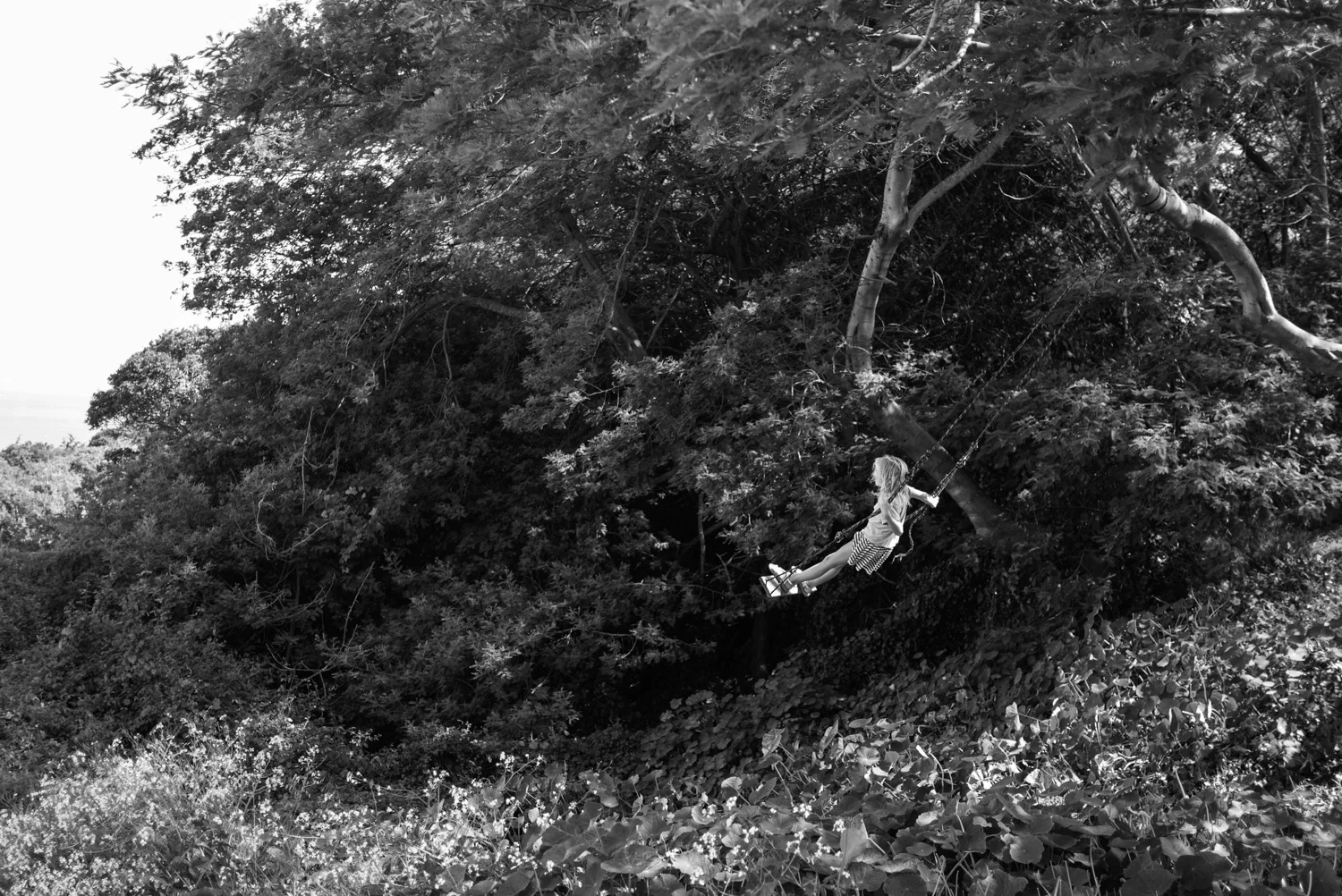 Northern California, for The Plant Magazine 