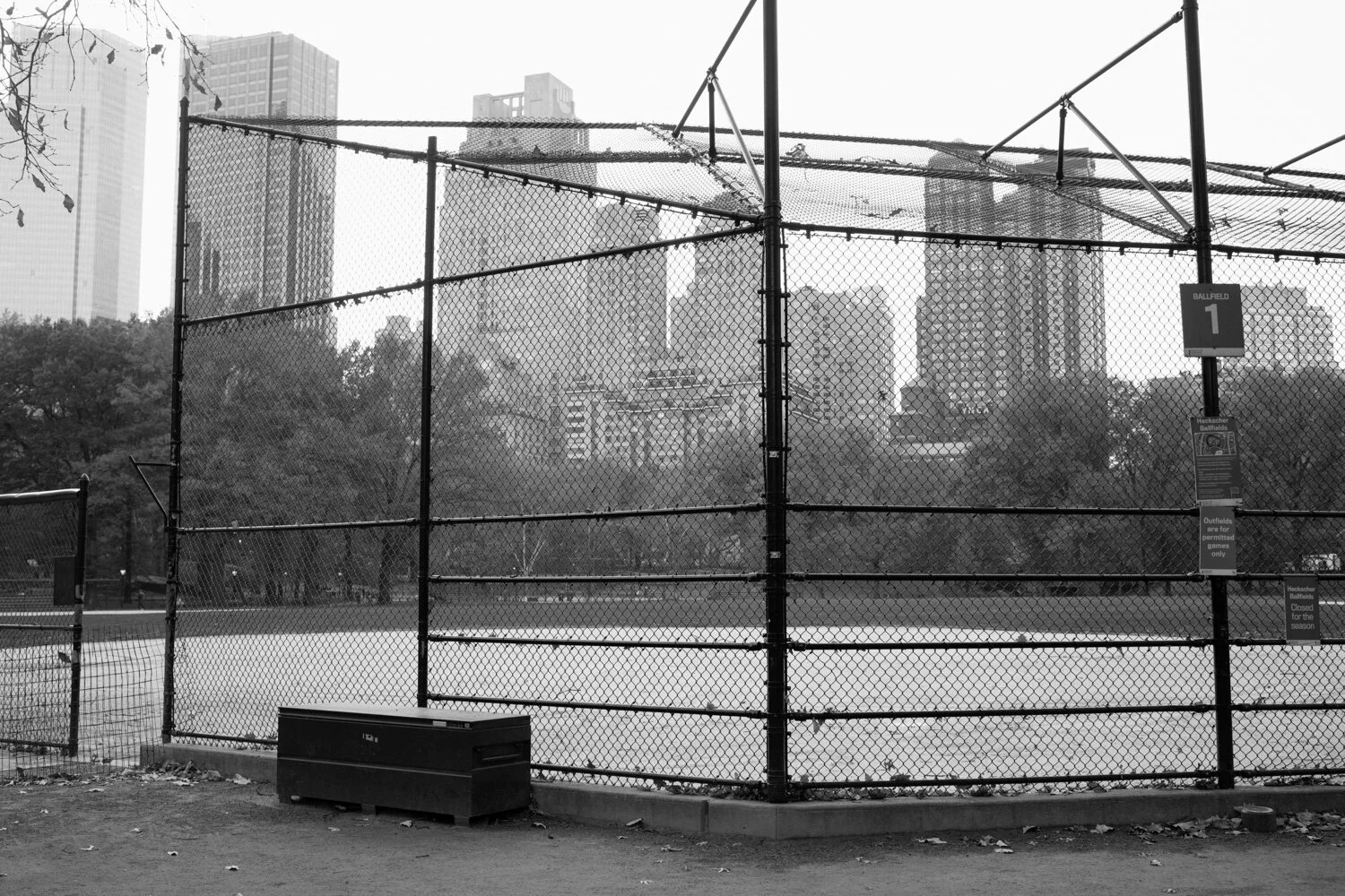 Central Park, for The Plant Magazine