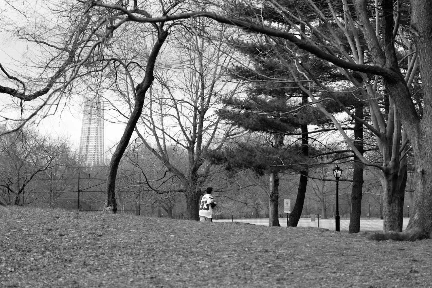 Central Park, for The Plant Magazine