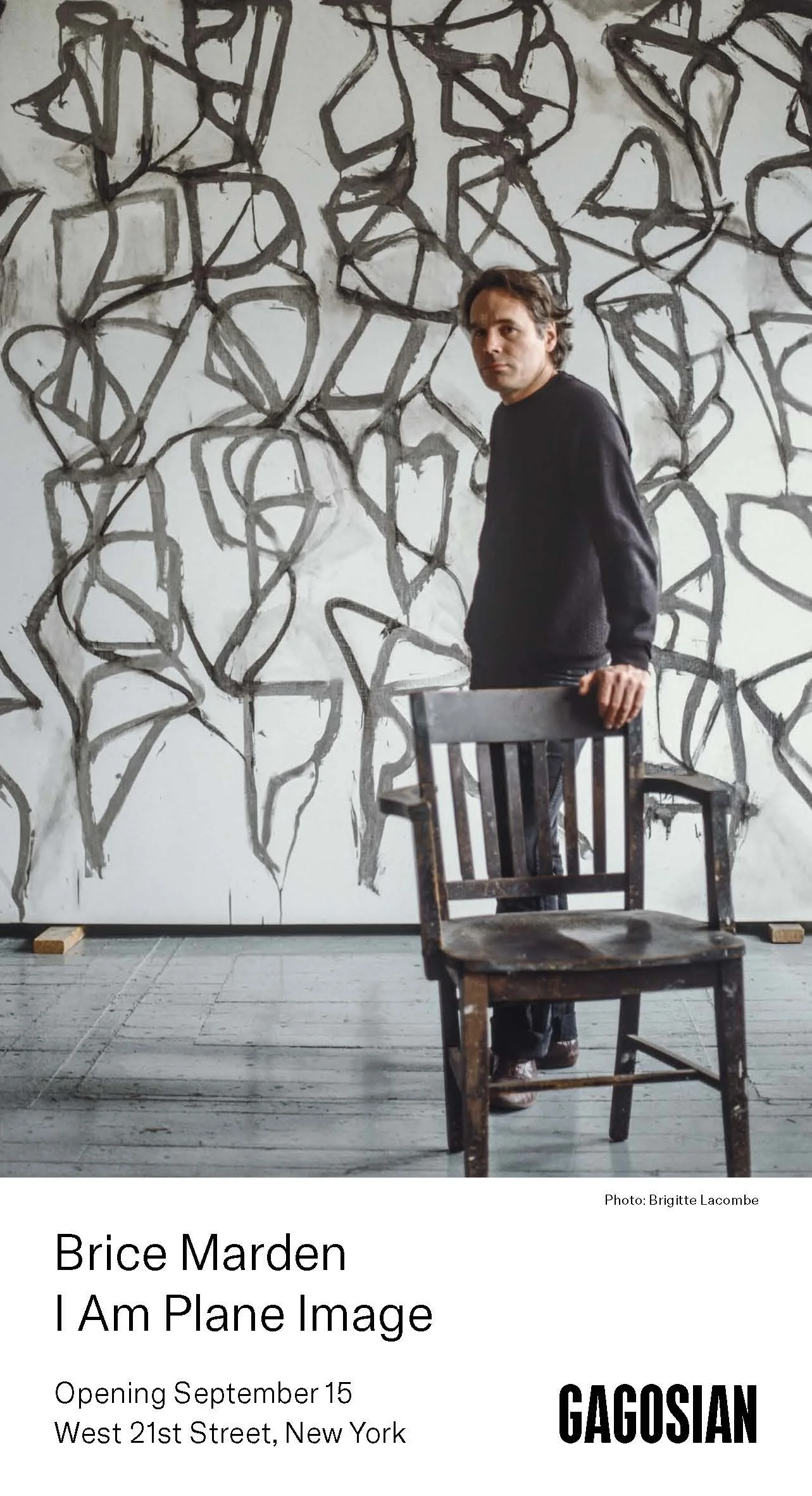 Brice Marden, 1989