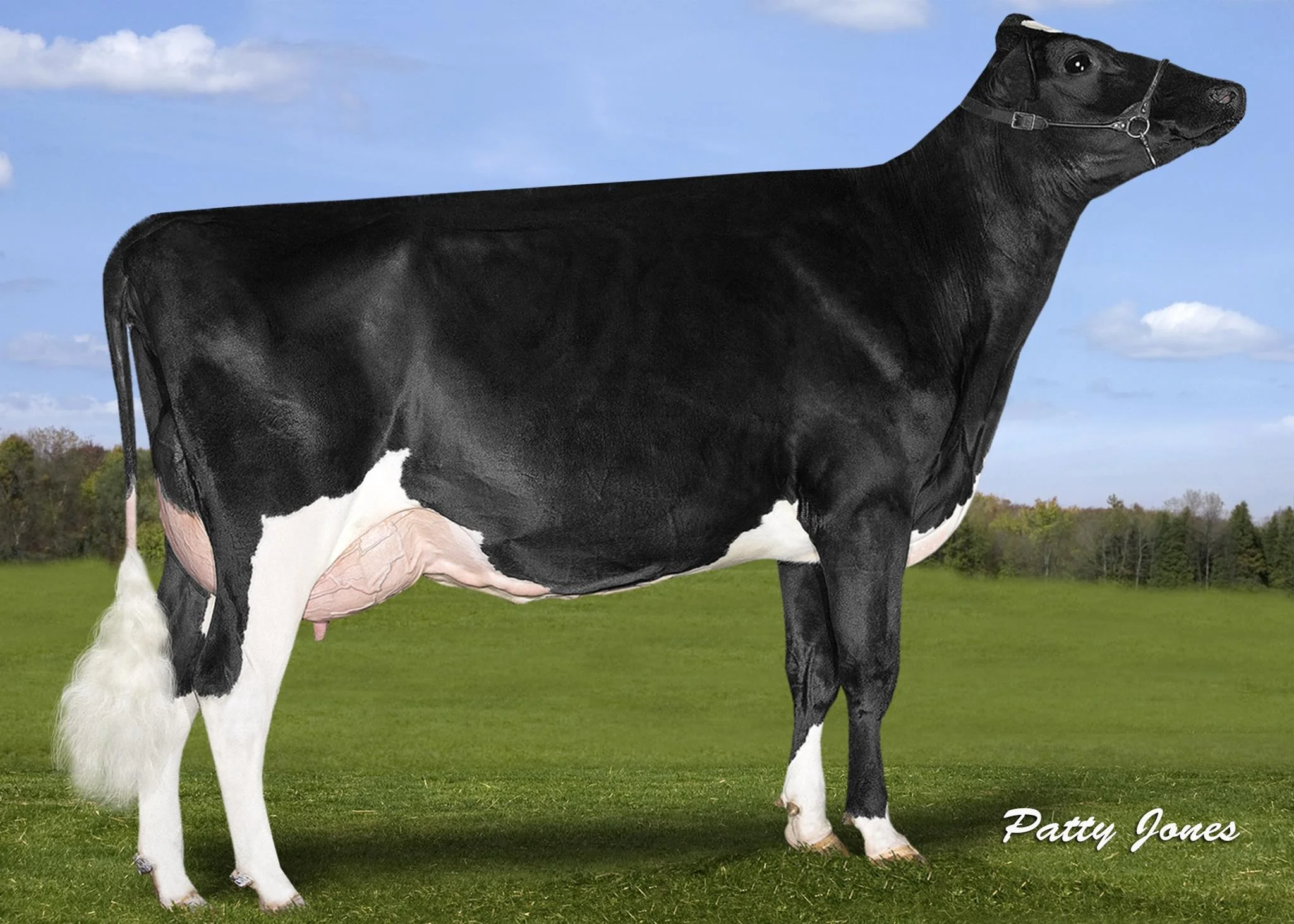 Croteau Lesperron Unix