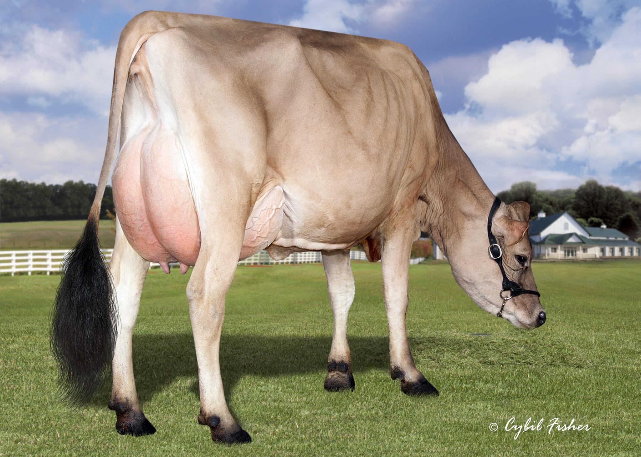 Jx River Valley Chief {6}-ET