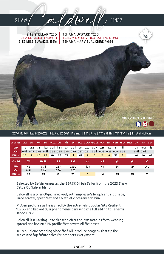 CDN_BeefCat2025_FINAL_LR_Page_09.png