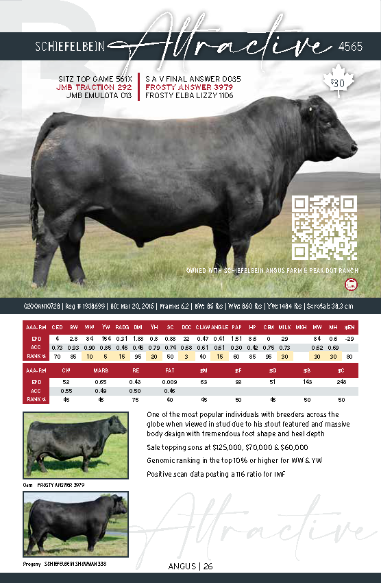 CDN_BeefCat2025_FINAL_LR_Page_26.png