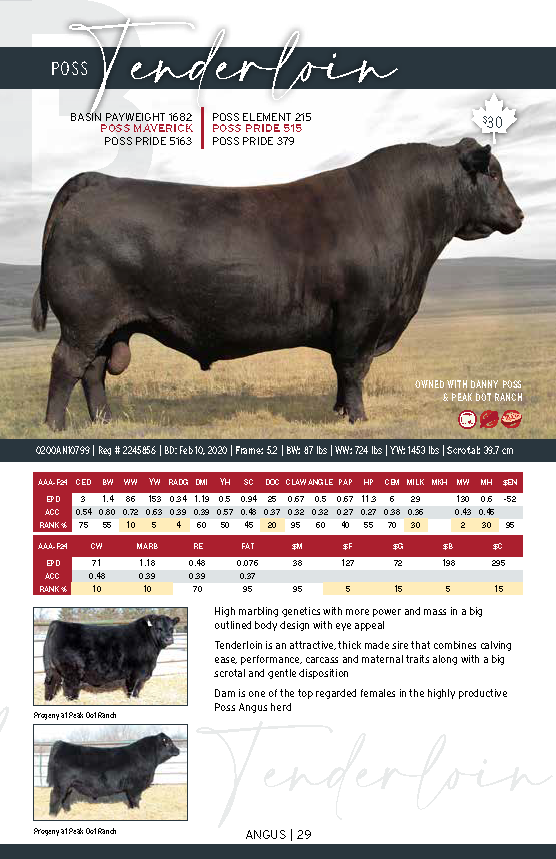 CDN_BeefCat2025_FINAL_LR_Page_29.png