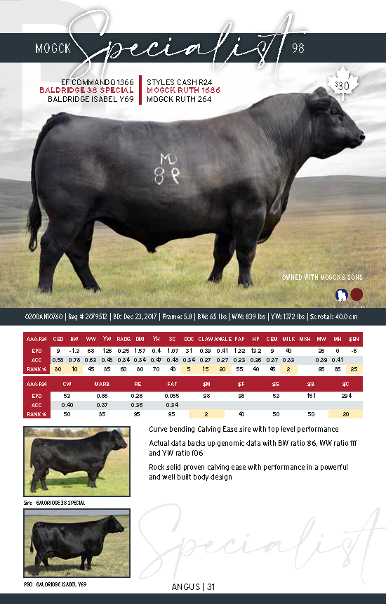 CDN_BeefCat2025_FINAL_LR_Page_31.png