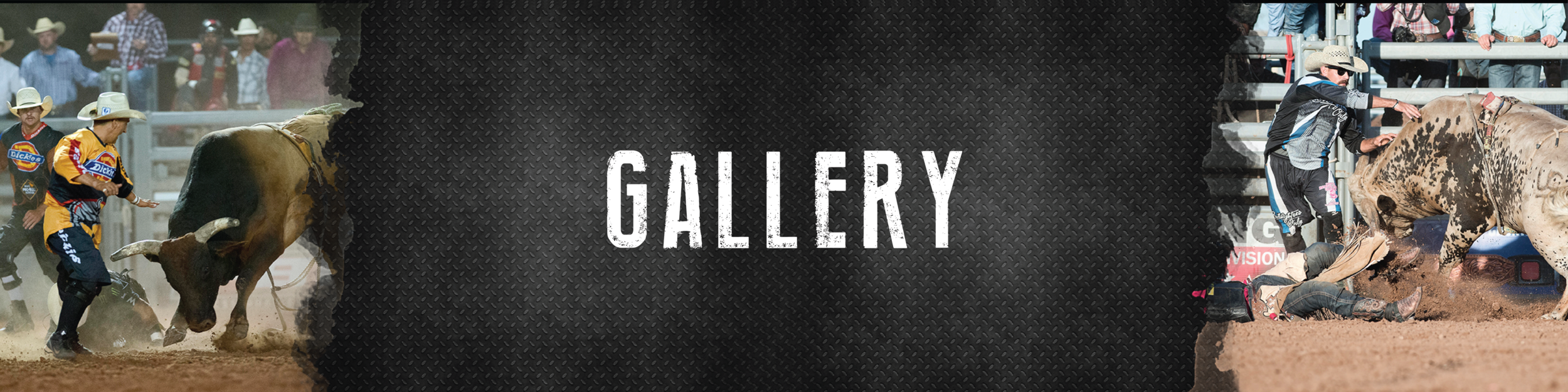 Header-gallery.png