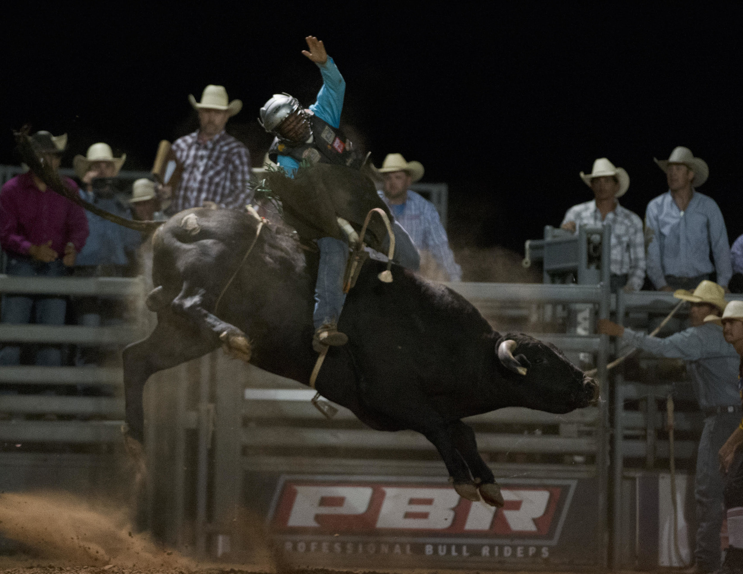 Seven Dust who was one of 3 bulls that bucked at 2016 KPI PBR who were all in the running for 2016 Bucking Bull of the year!.jpg