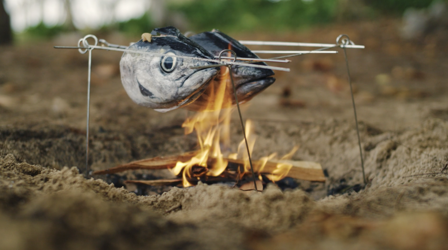 Screen Shot 2022-02-01 at 11.57.18 AM.png