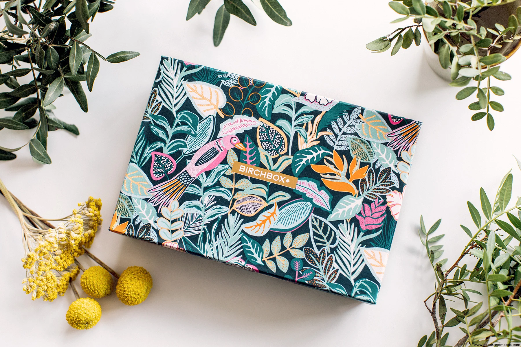 Birchbox juin 19 - crédit photo : needsandmoods.com