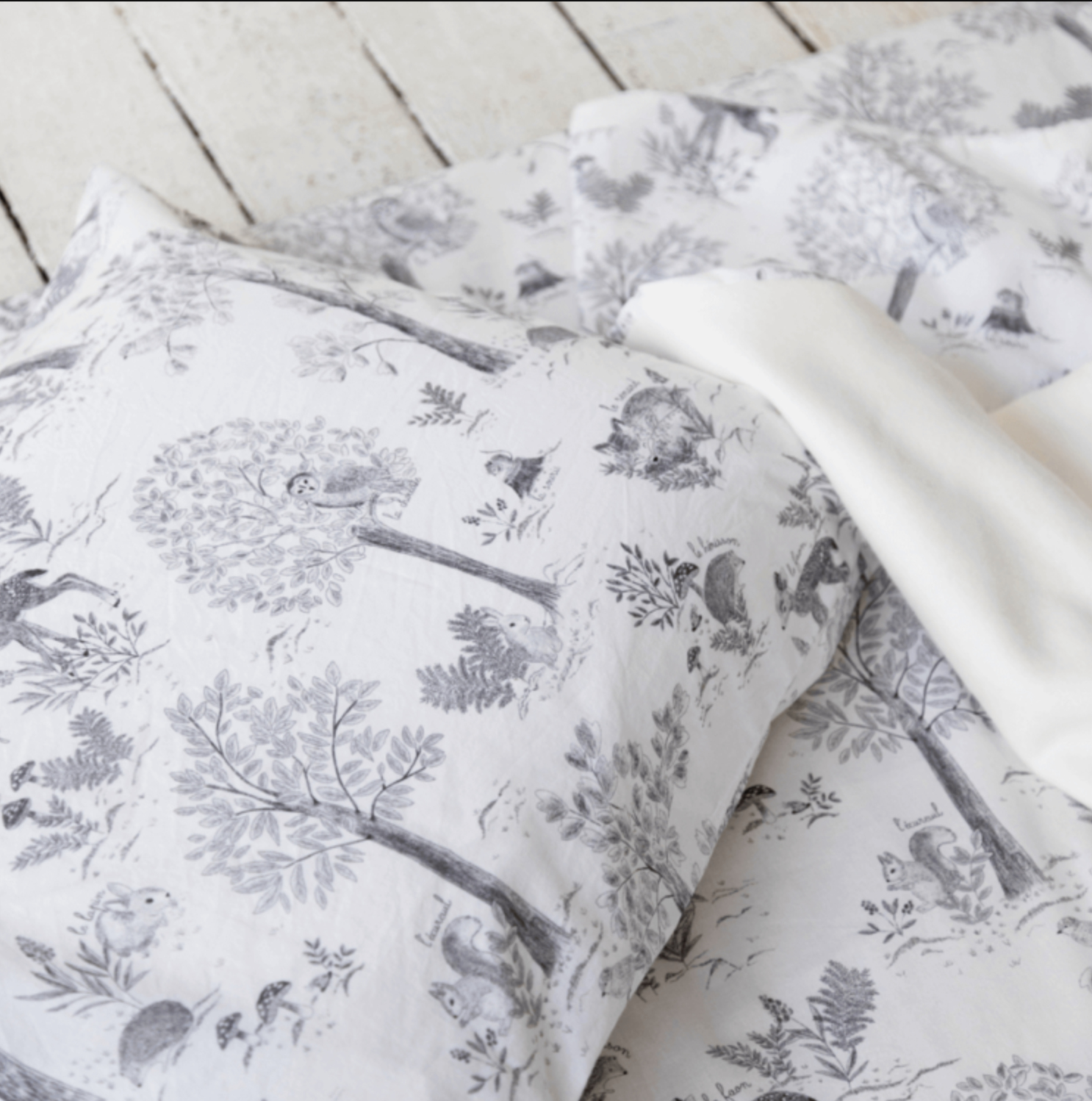 Capture d’écran 2023-06-21 à 10.21.27.png