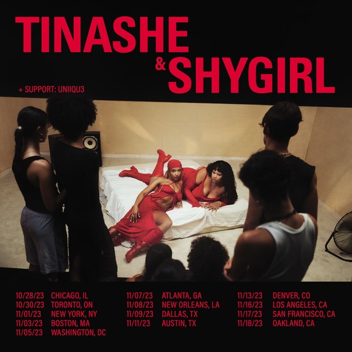 tinashe-shygirl-tour.jpeg