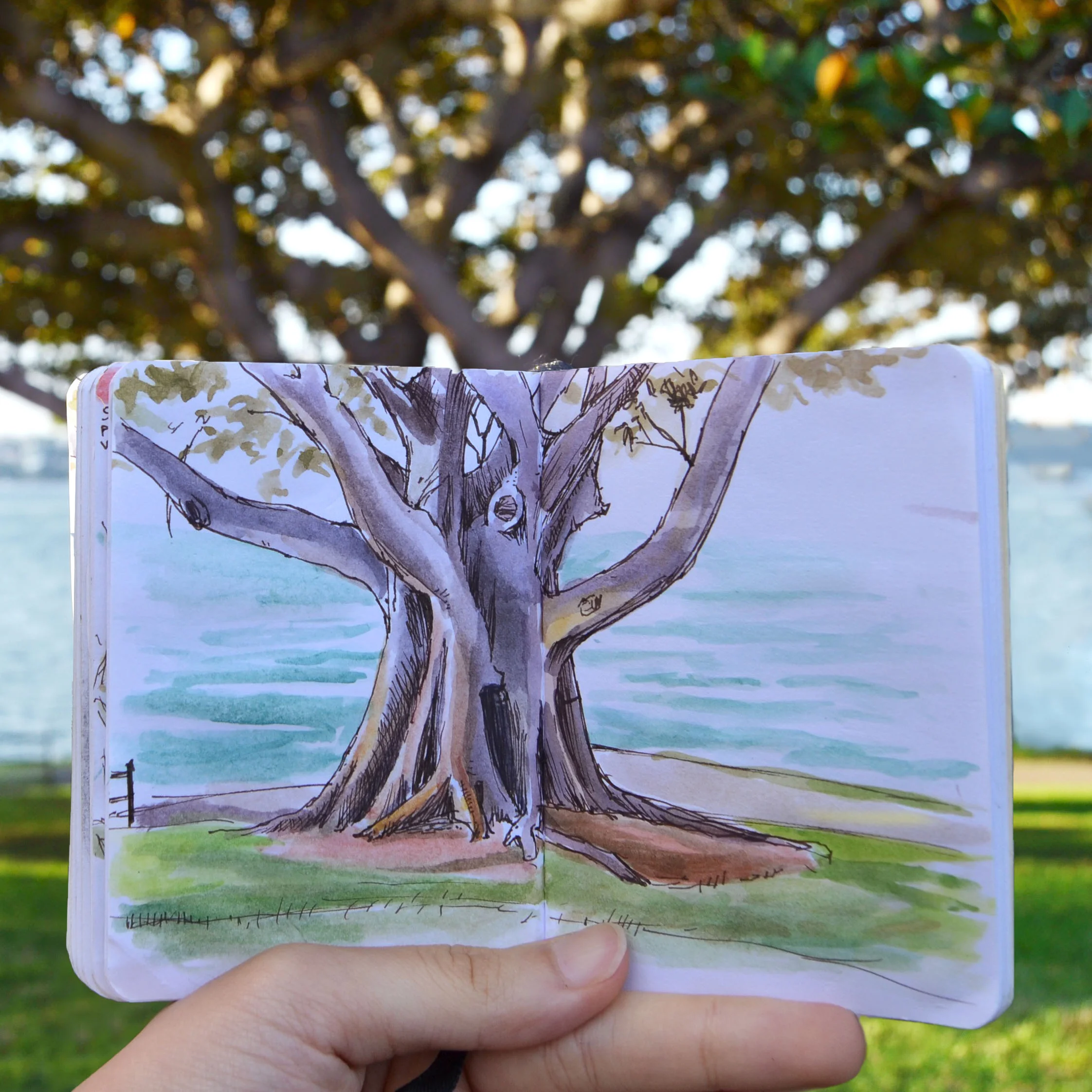 treeByTheSea.jpg