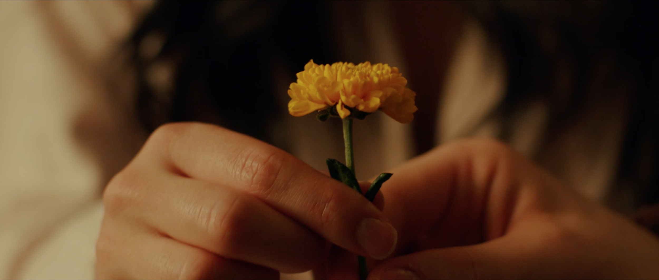 Screen Shot 2020-08-24 at 2.15.41 PM.png